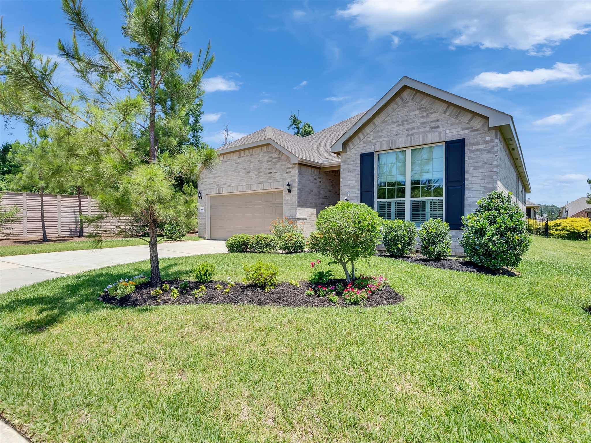 223 Spotted Saddle Court Property Photo 5