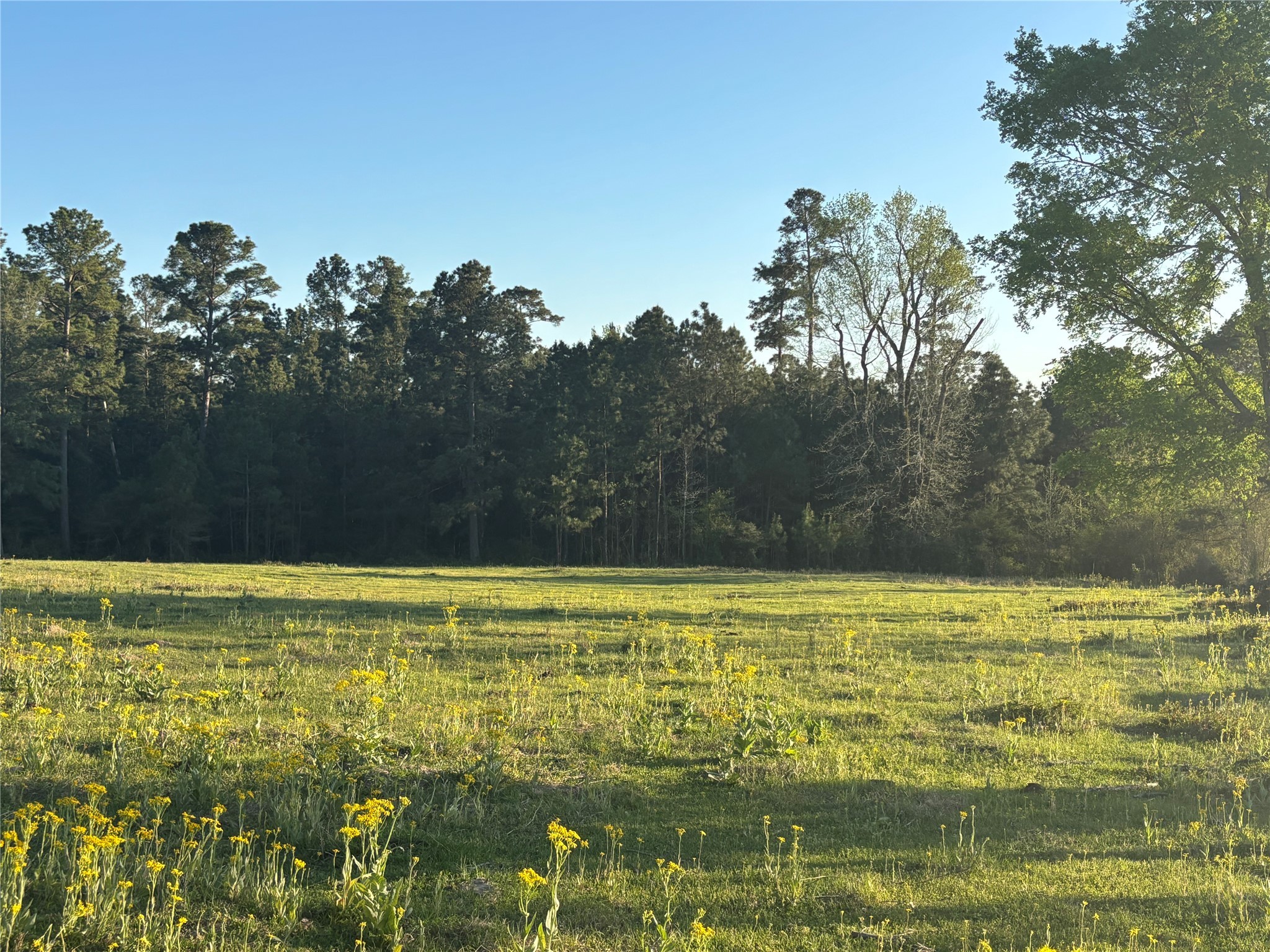 Tbd Cr4120 Property Photo