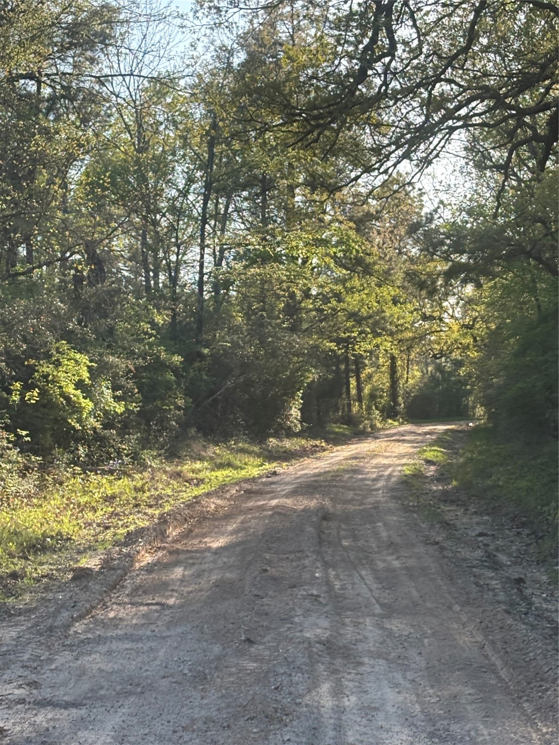 Tbd Cr4120 Property Photo 3