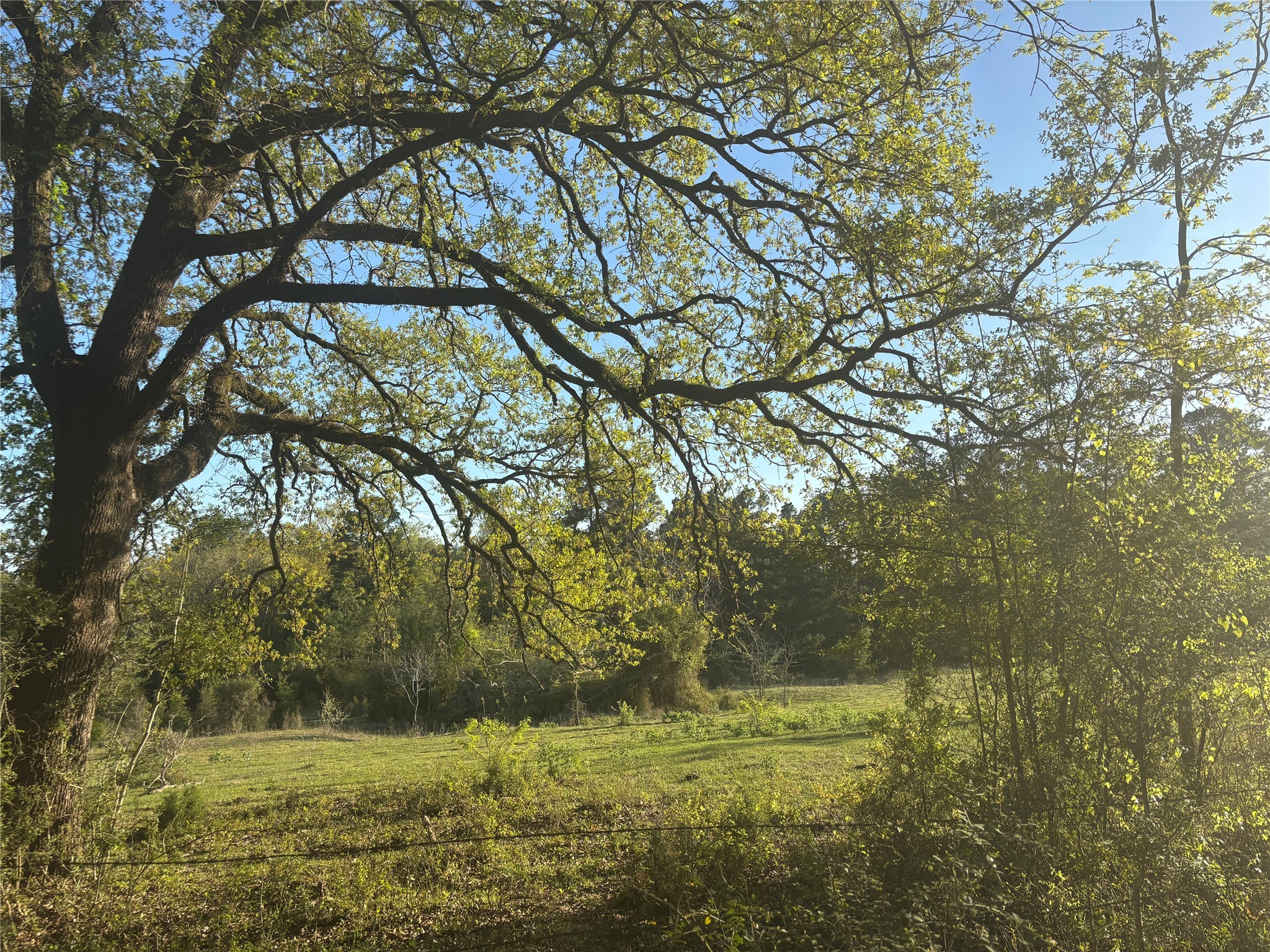 Tbd Cr4120 Property Photo 5