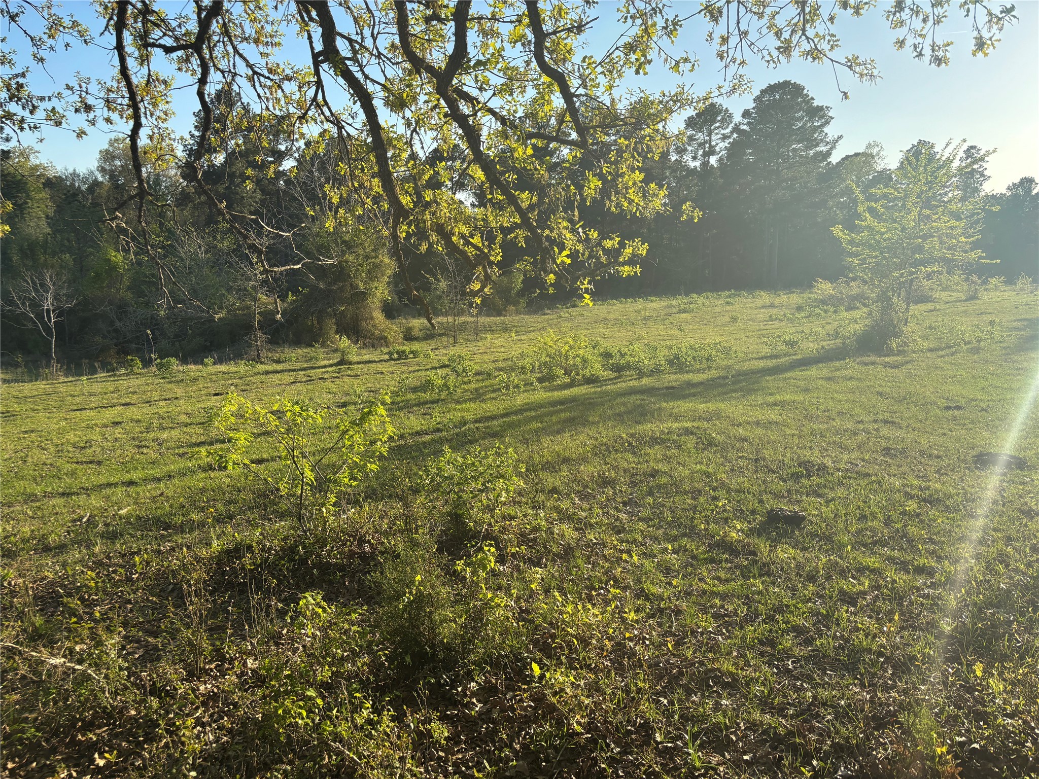 Tbd Cr4120 Property Photo 6