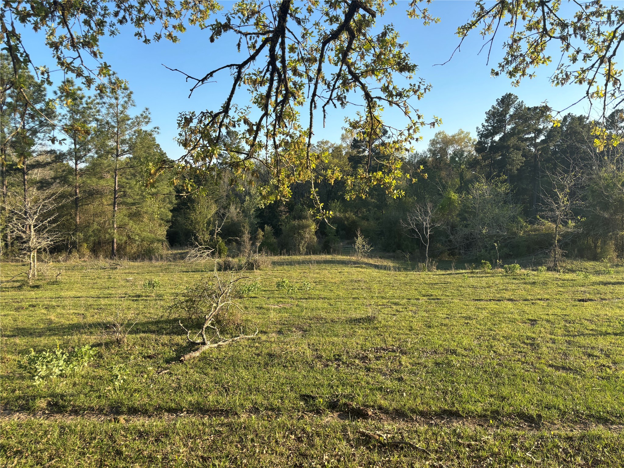 Tbd Cr4120 Property Photo 7