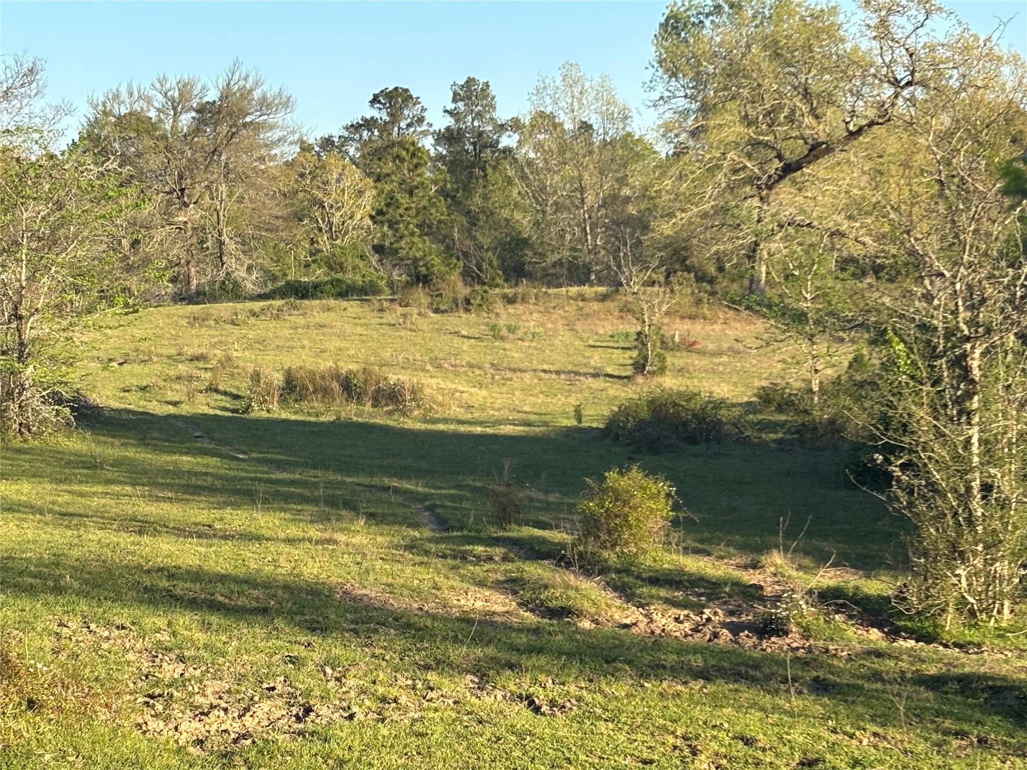 Tbd Cr4120 Property Photo 8