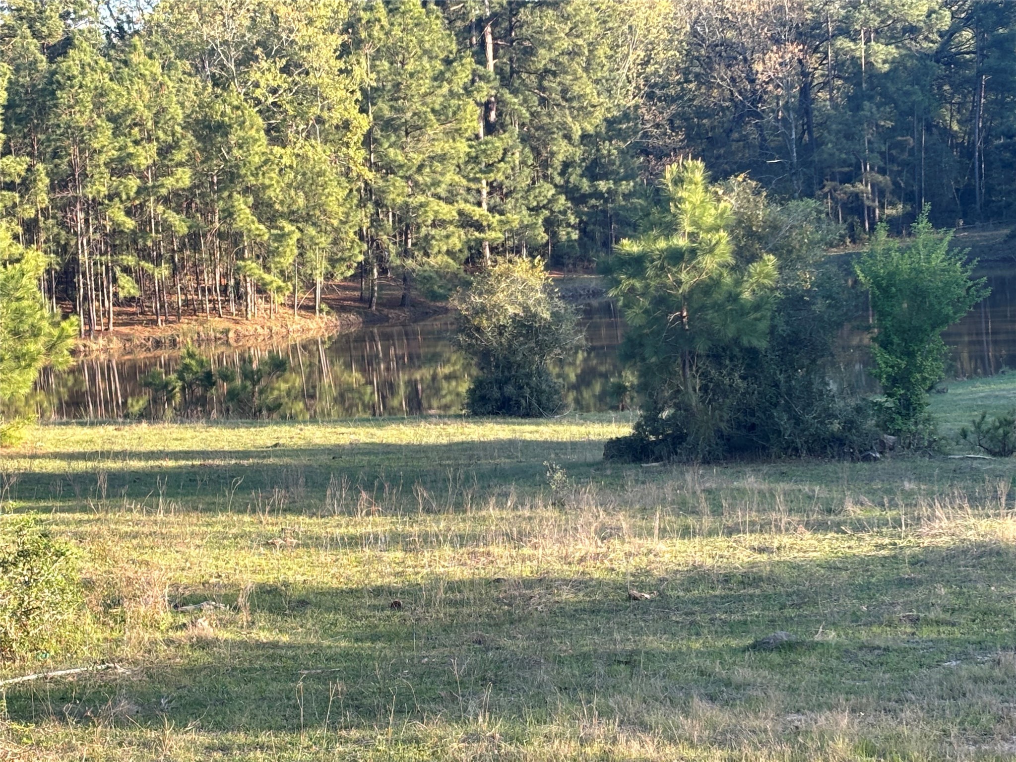 Tbd Cr4120 Property Photo 9