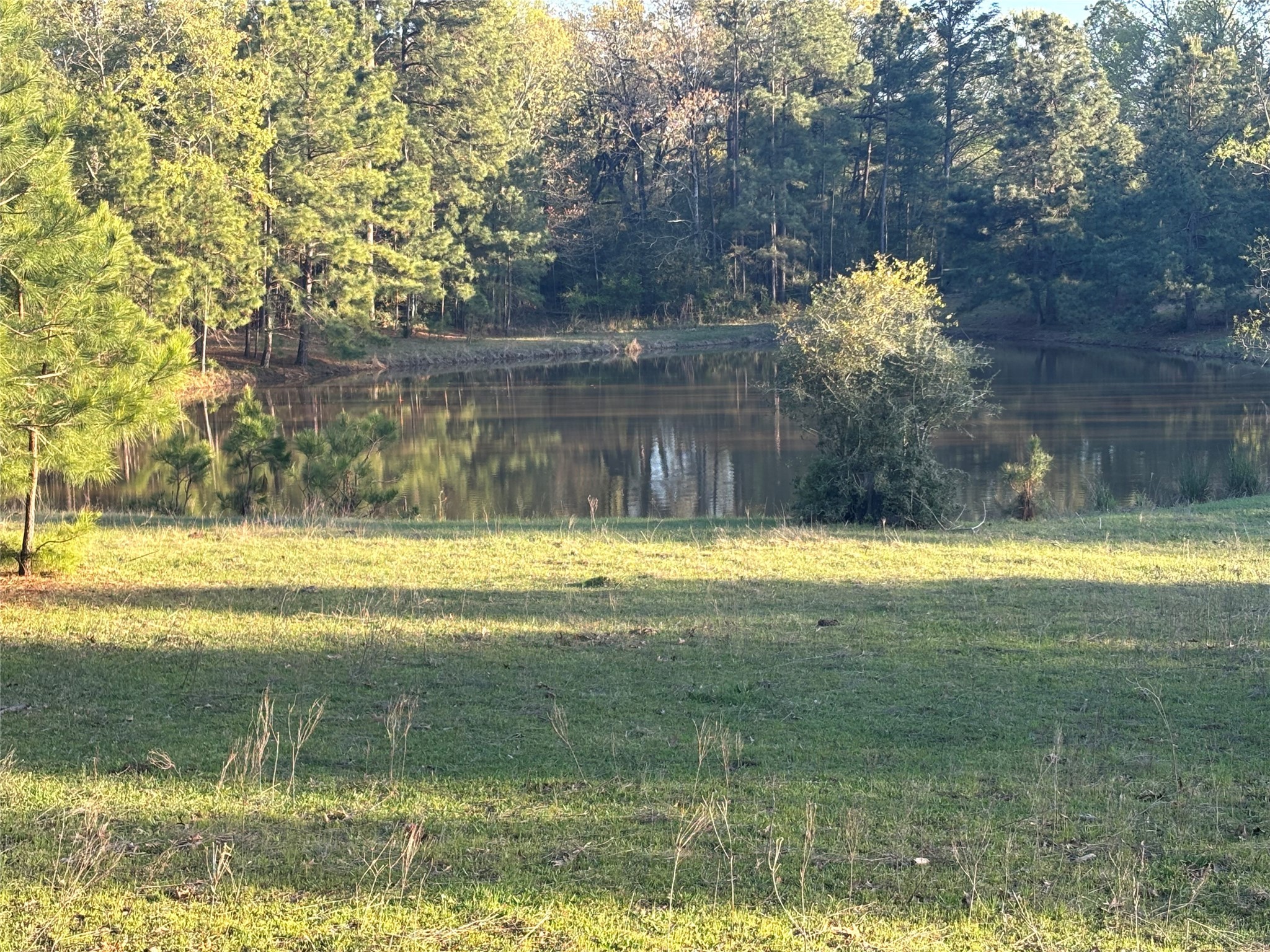 Tbd Cr4120 Property Photo 11