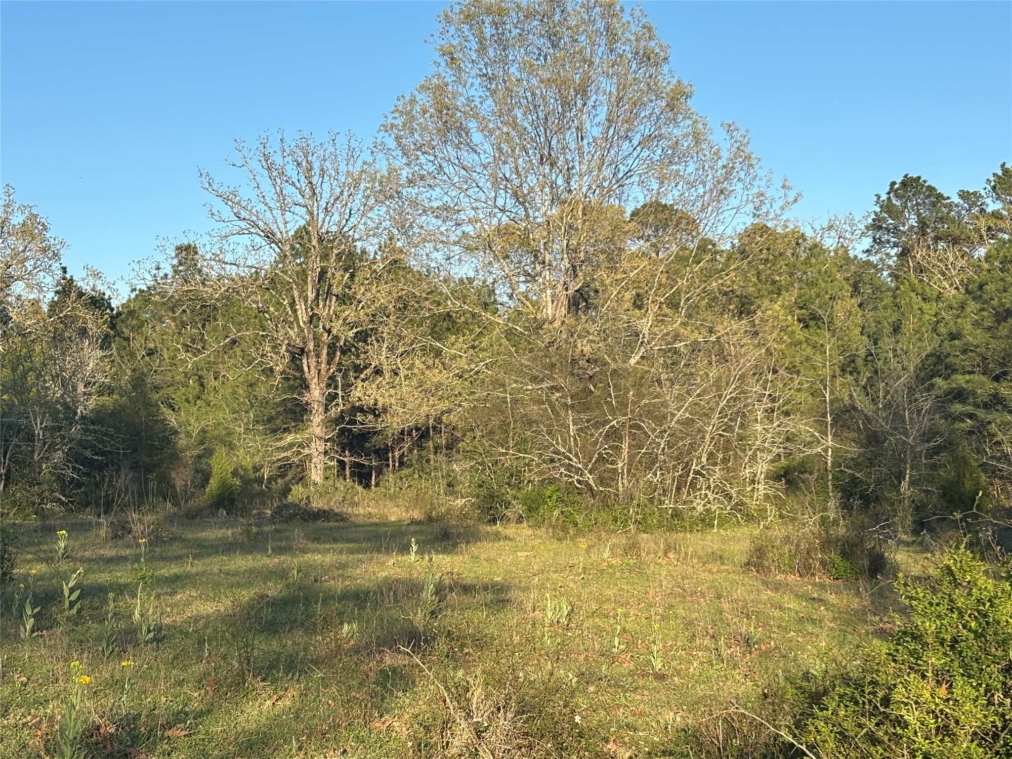 Tbd Cr4120 Property Photo 12