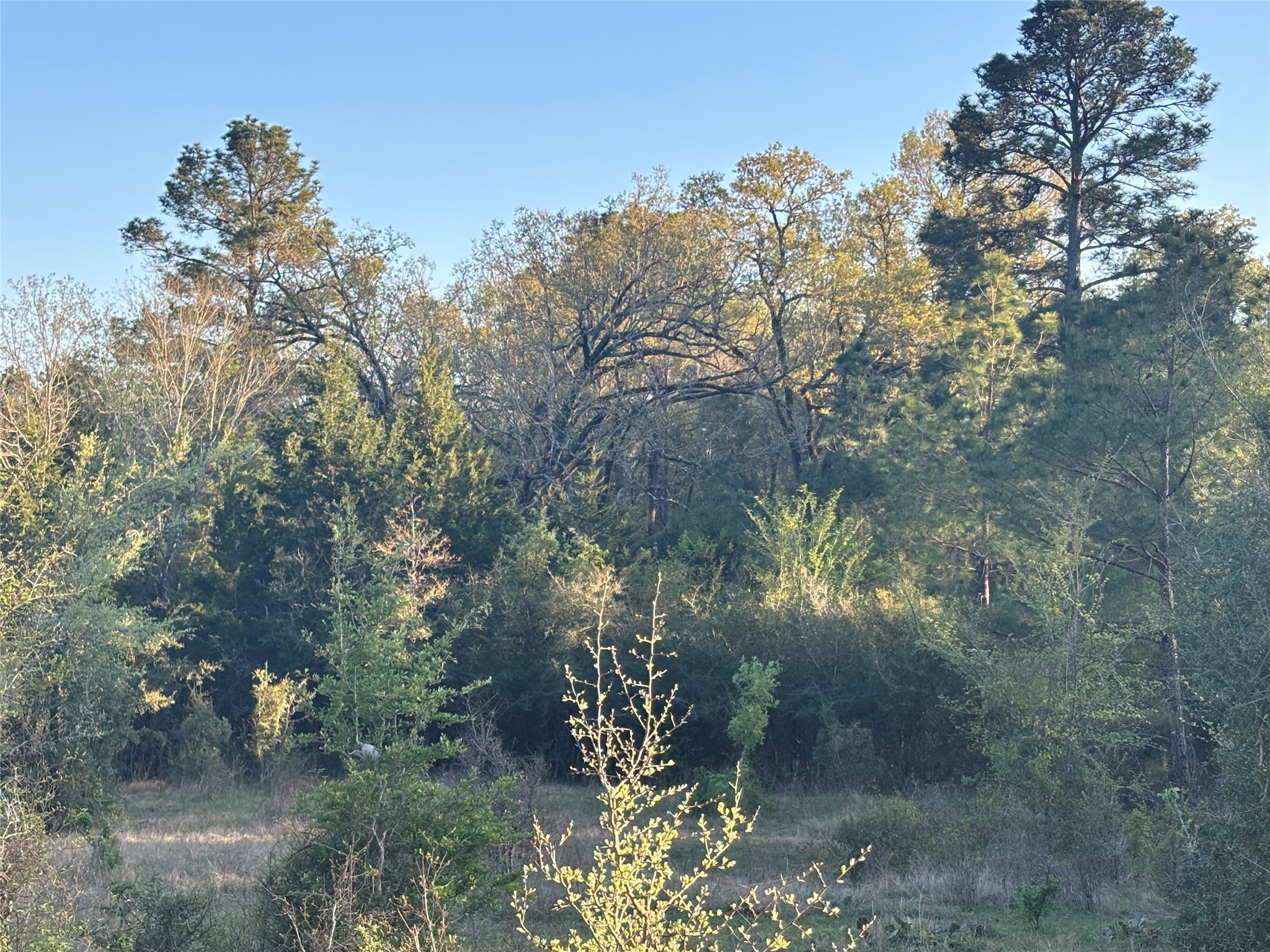 Tbd Cr4120 Property Photo 13