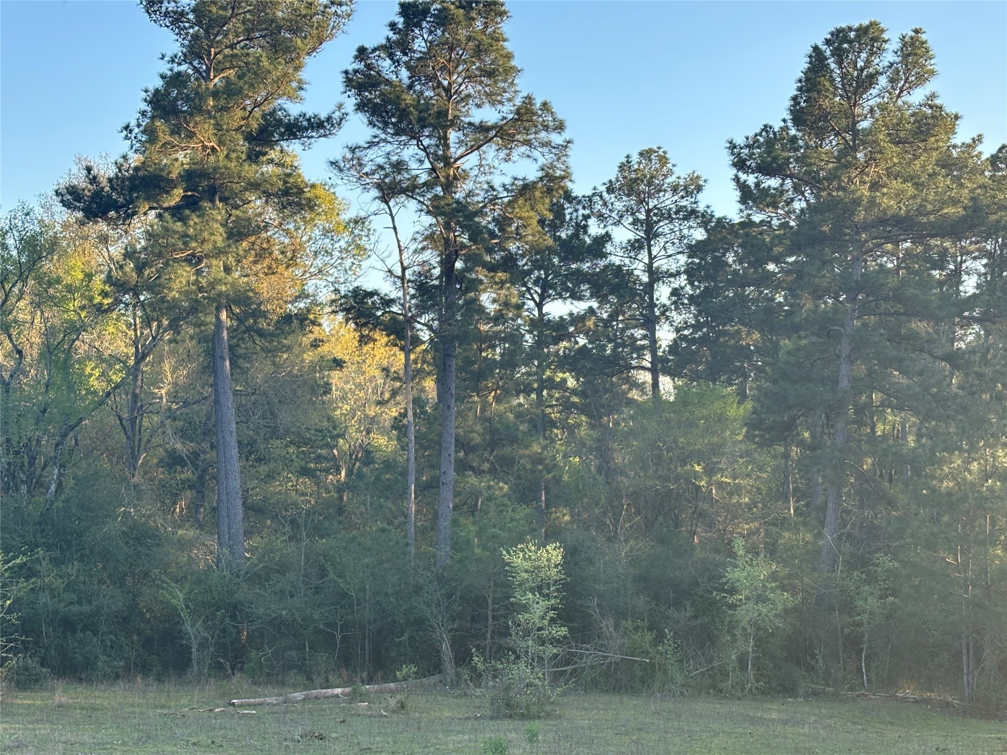 Tbd Cr4120 Property Photo 14