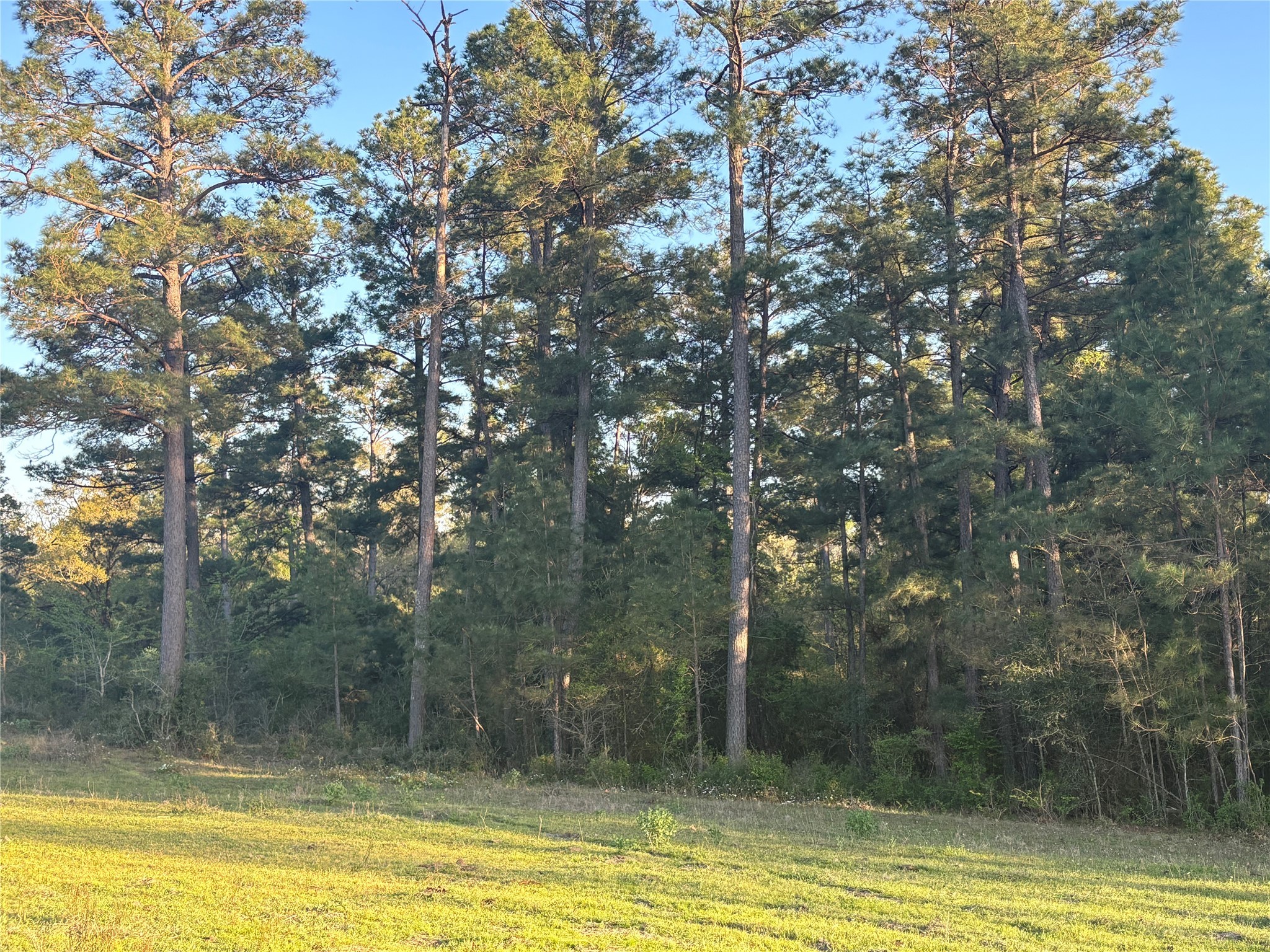 Tbd Cr4120 Property Photo 15
