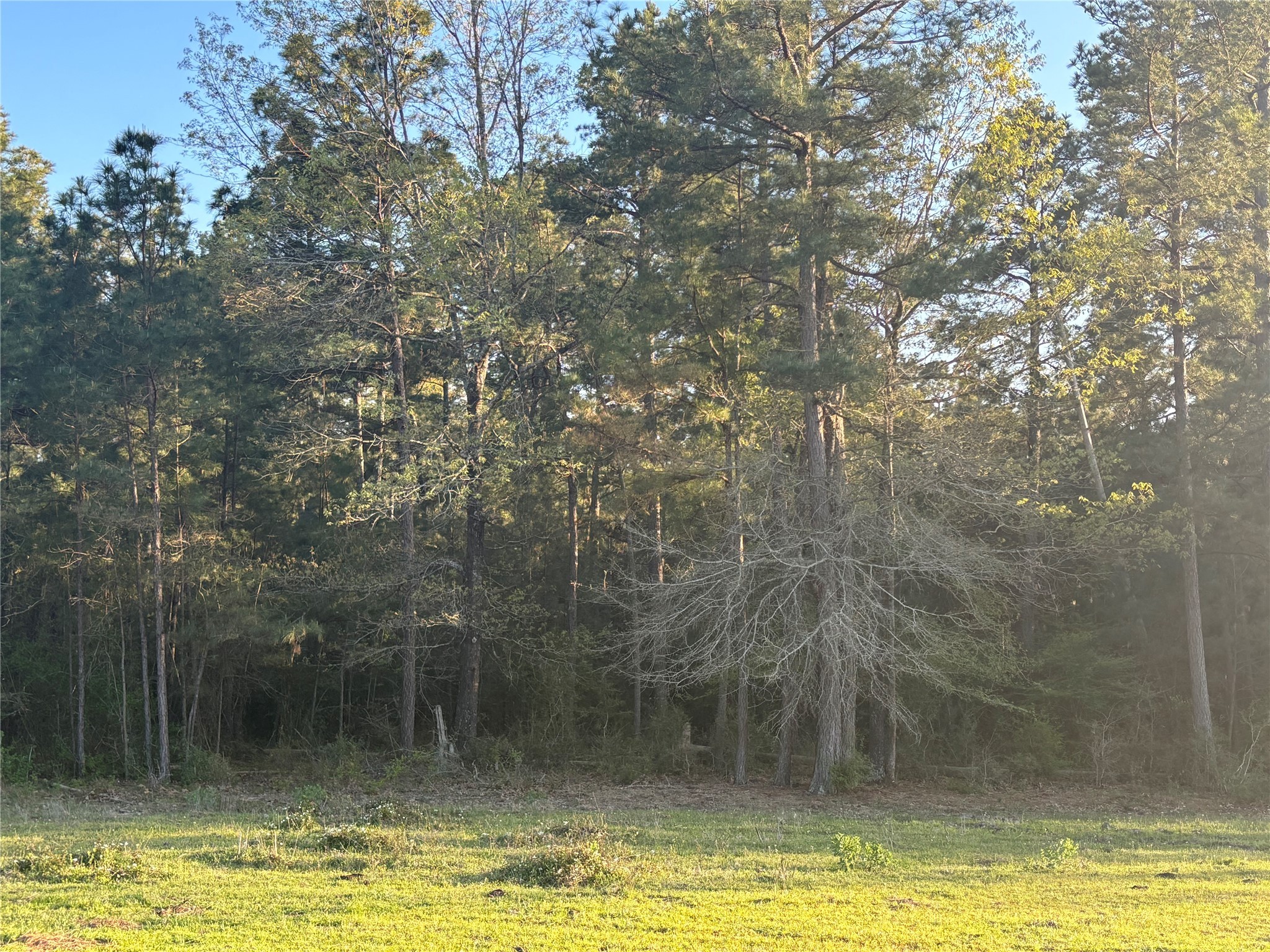Tbd Cr4120 Property Photo 16