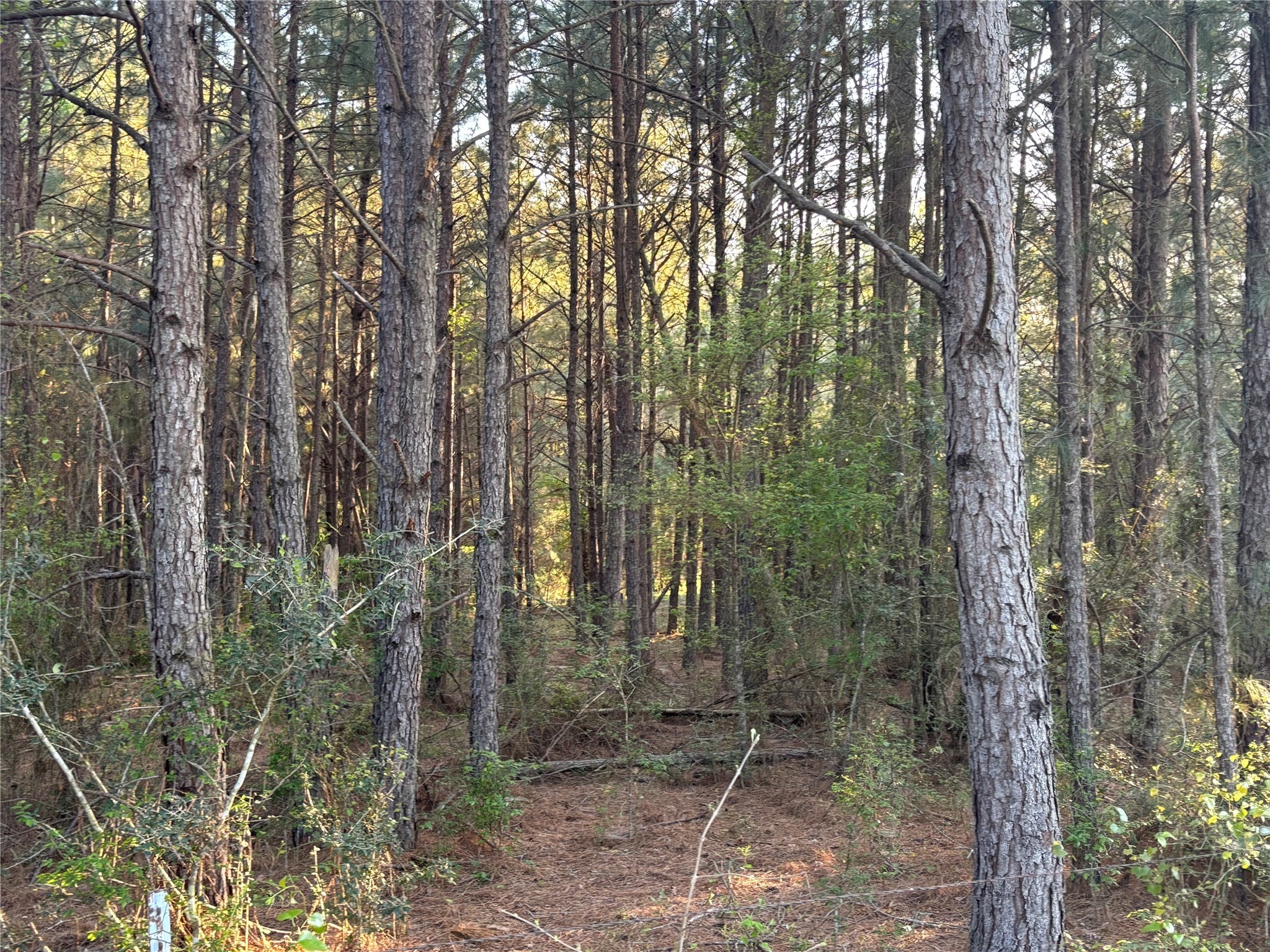 Tbd Cr4120 Property Photo 17