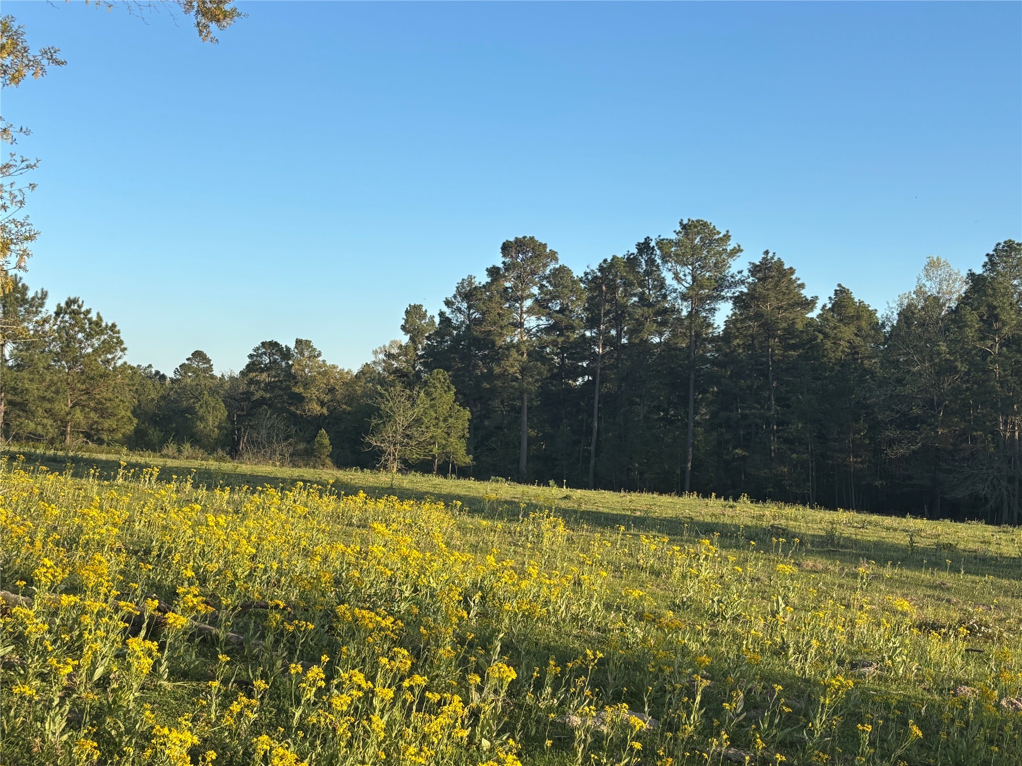 Tbd Cr4120 Property Photo 20