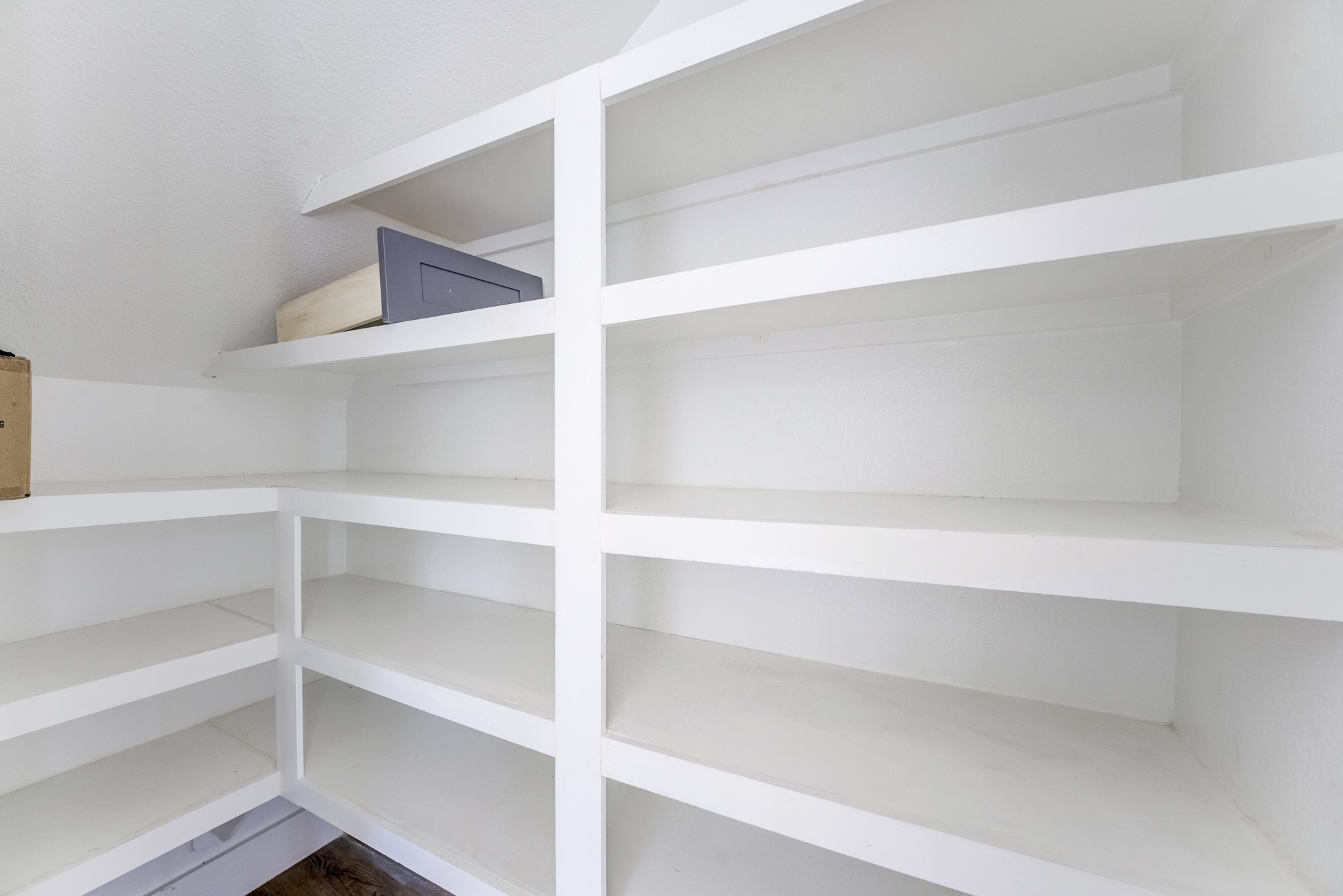 7117 Tierwester Street Property Photo 24