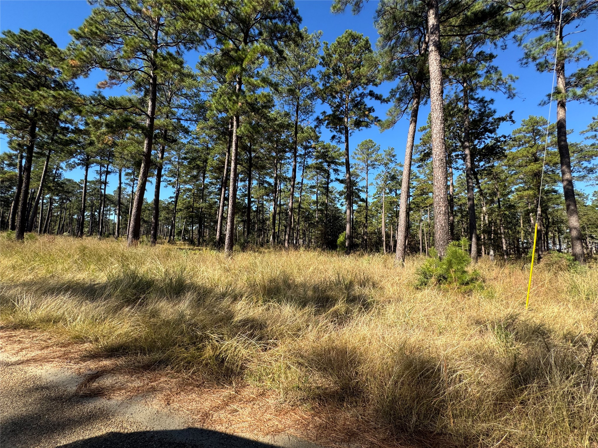 063 Private Road 6026 Property Photo 1