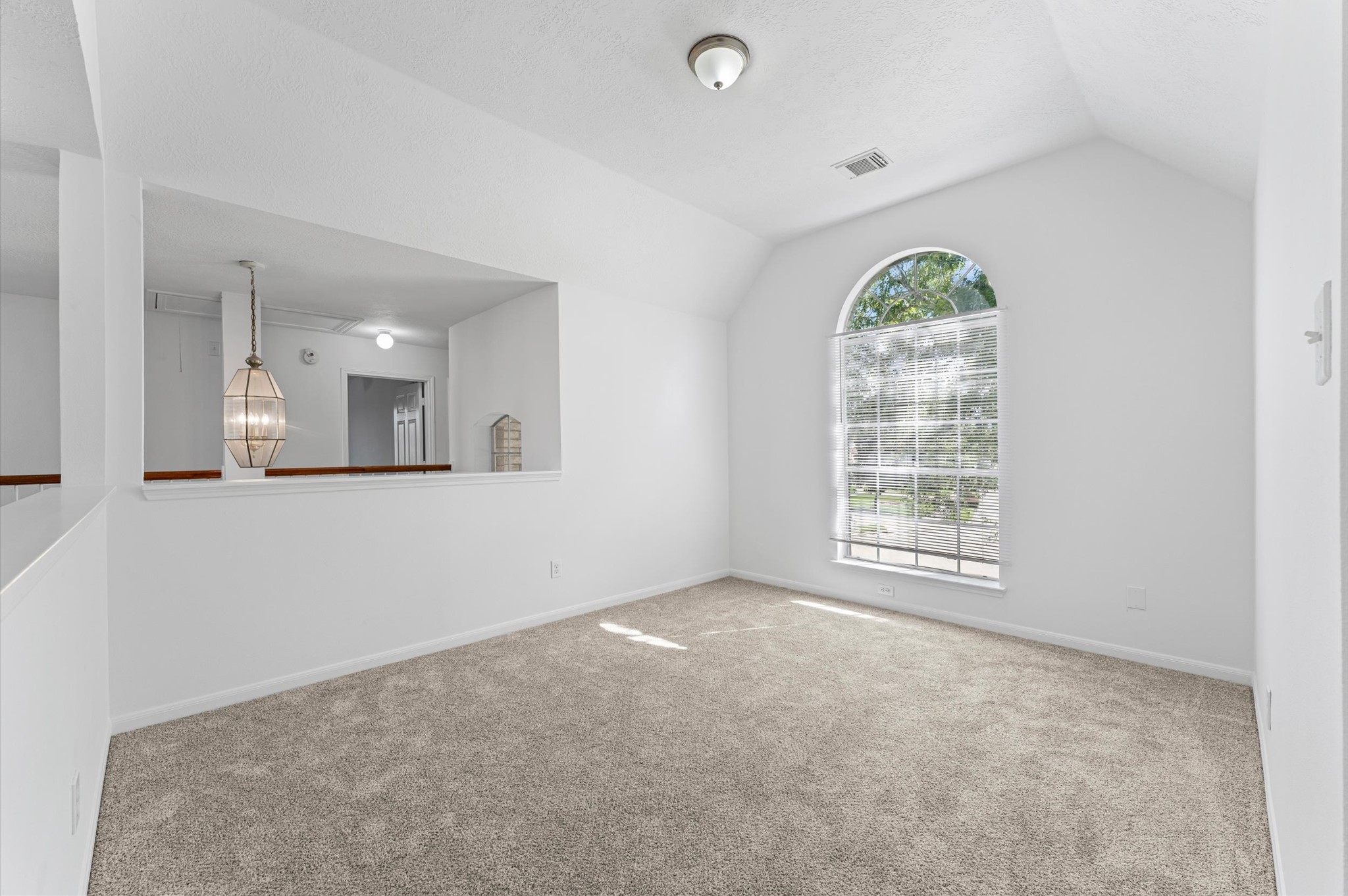 3131 Genessee Creek Lane Property Photo 42