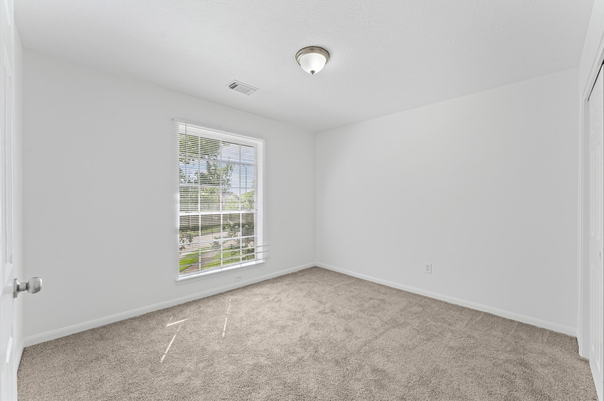 3131 Genessee Creek Lane Property Photo 50