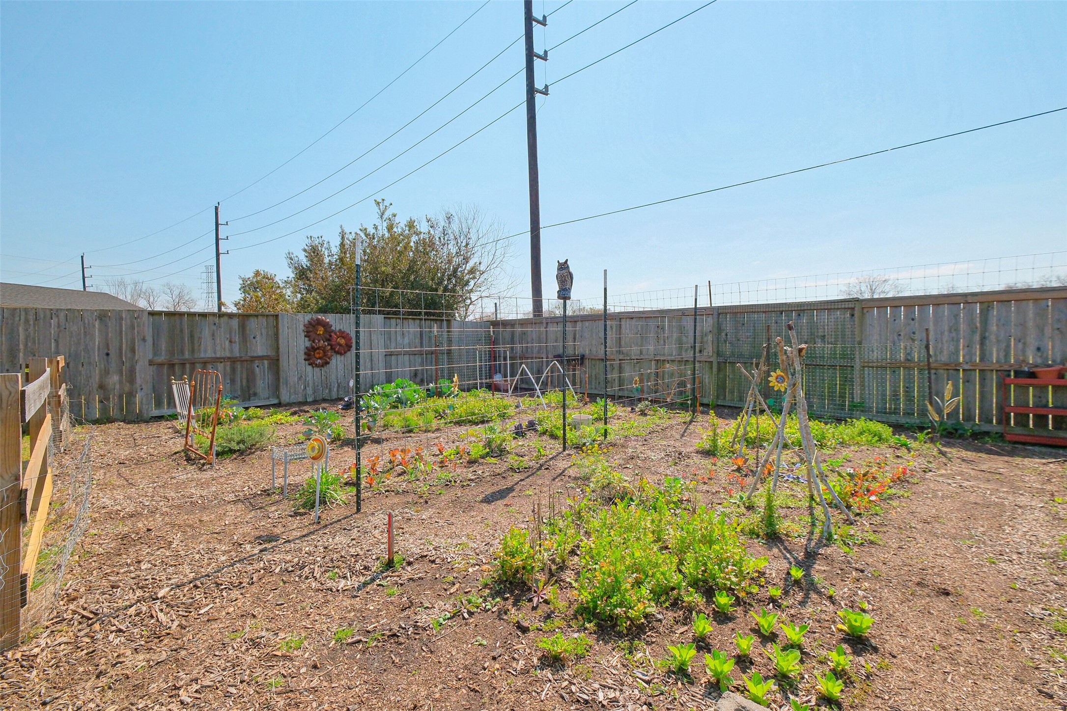 6919 Champion Trail Property Photo 50