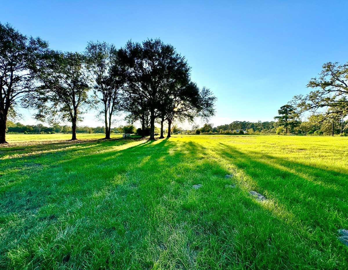 1 Hoke Road Property Photo 23