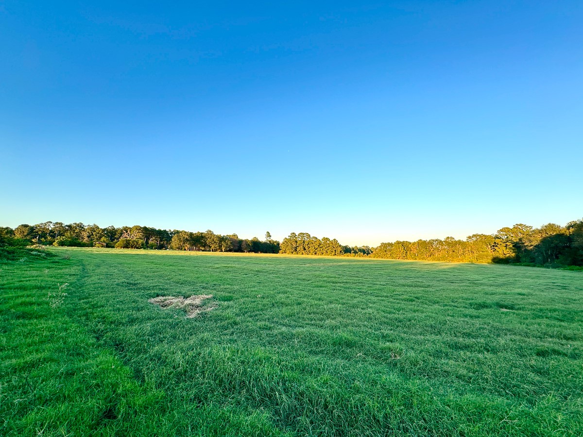 1 Hoke Road Property Photo 32