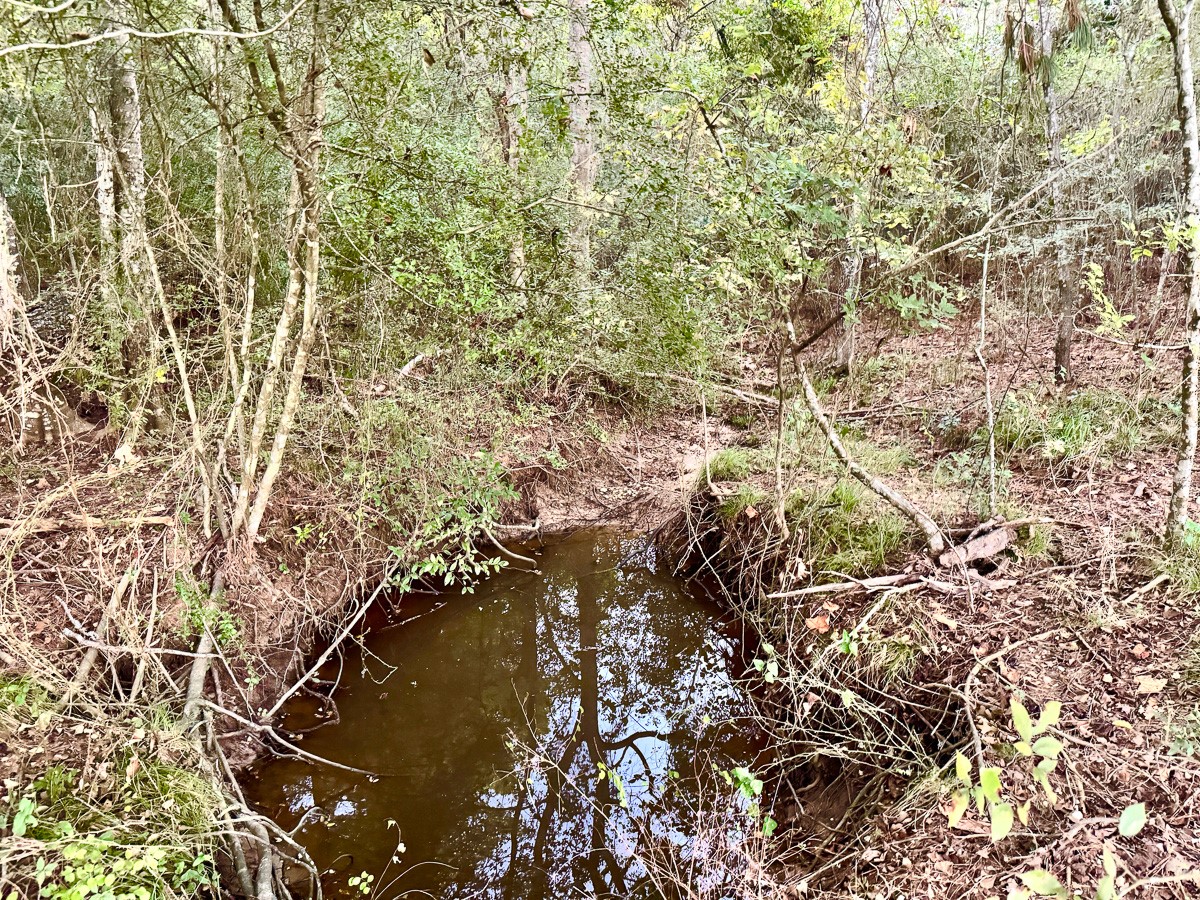 1 Hoke Road Property Photo 35