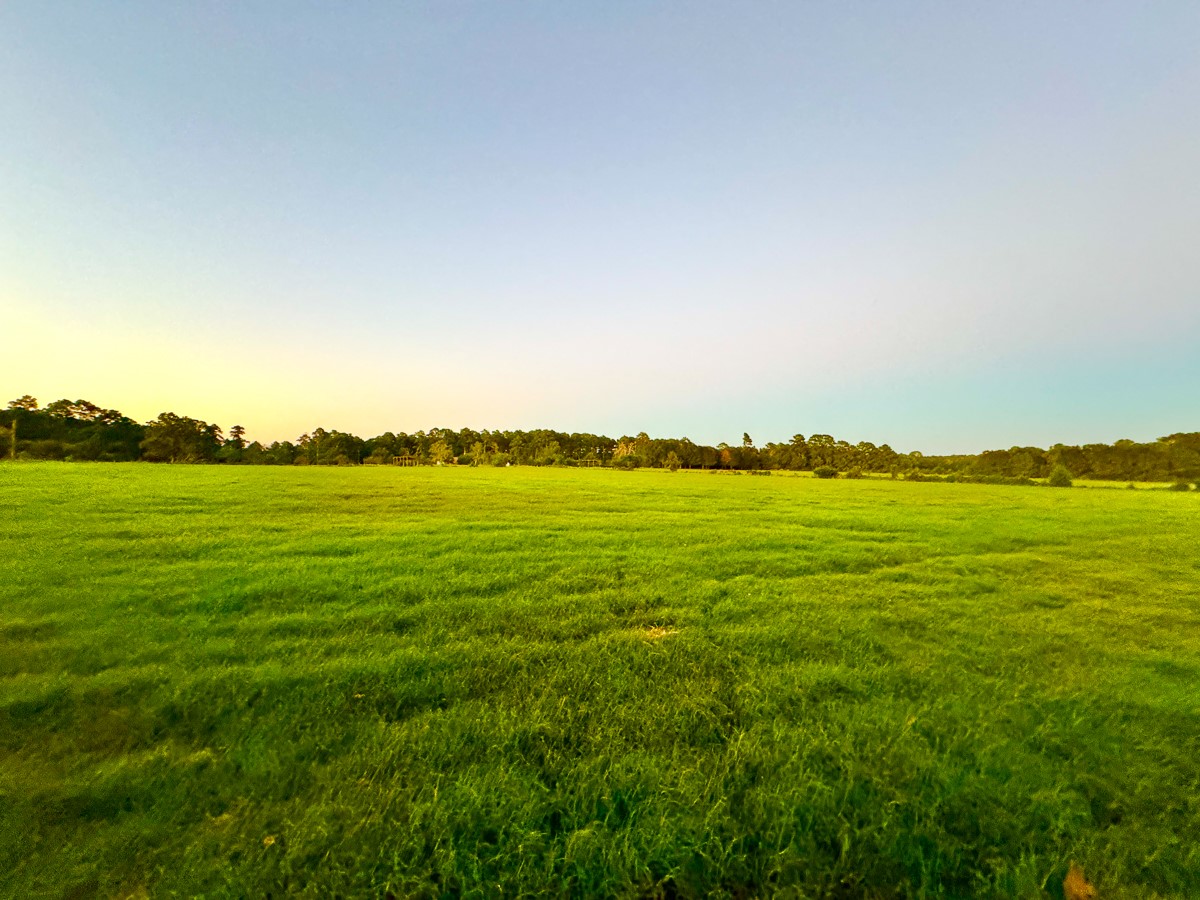 1 Hoke Road Property Photo 36