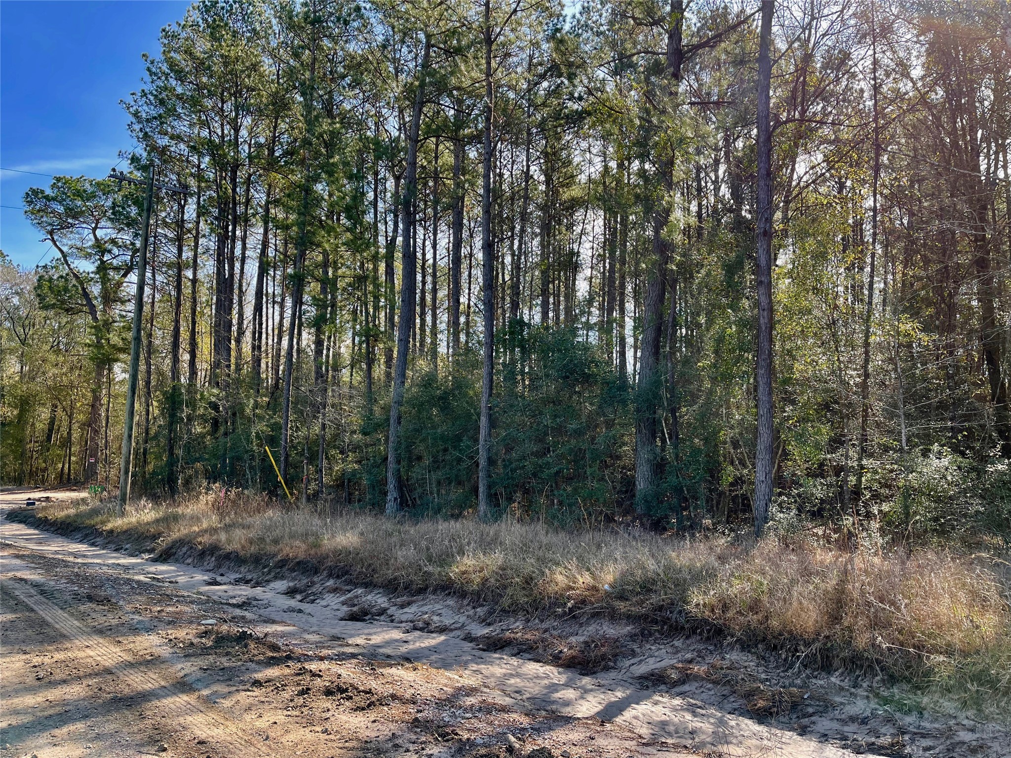 6 +/- Acs Cr 3400 Property Photo 3