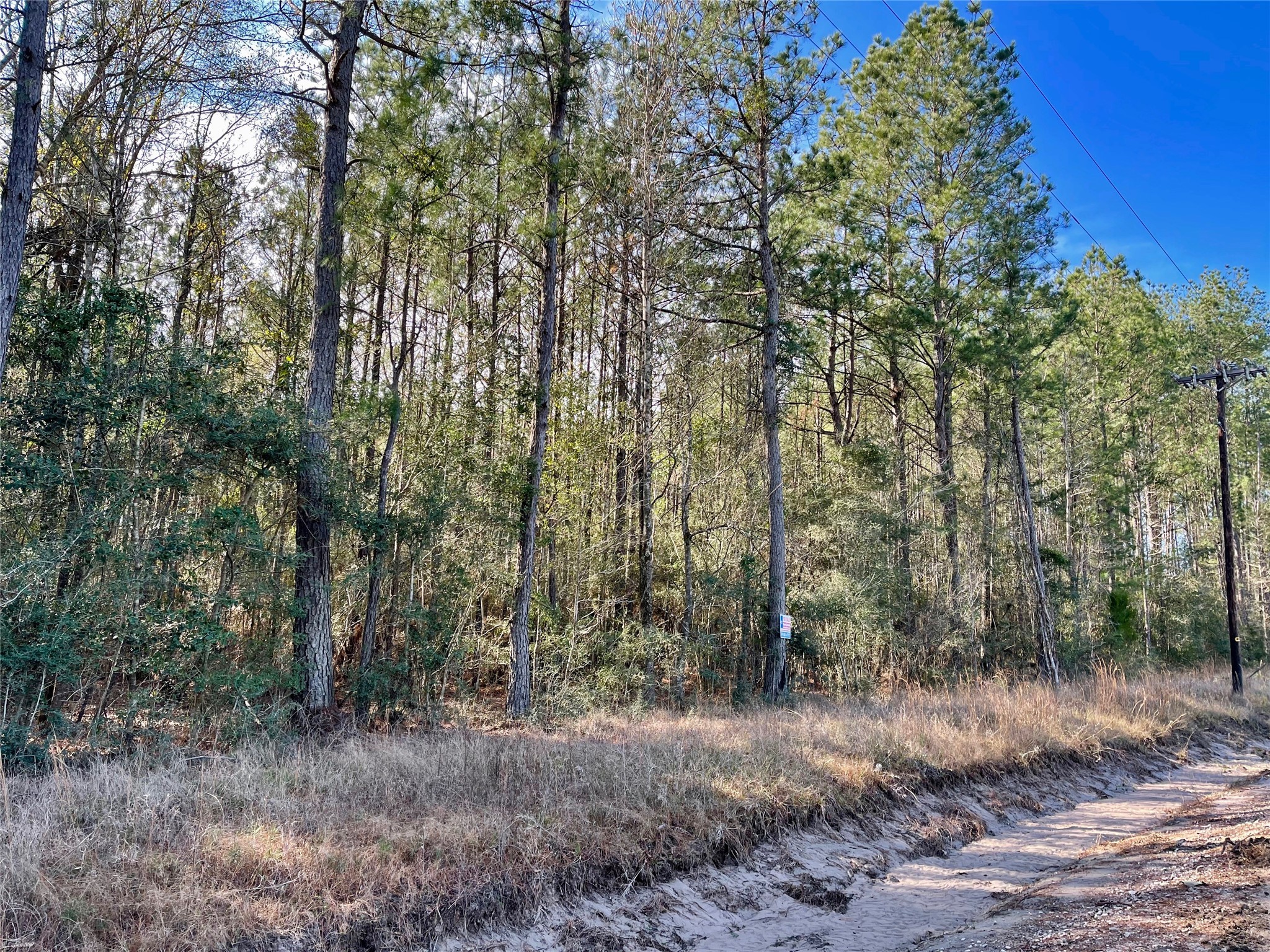 6 +/- Acs Cr 3400 Property Photo 4