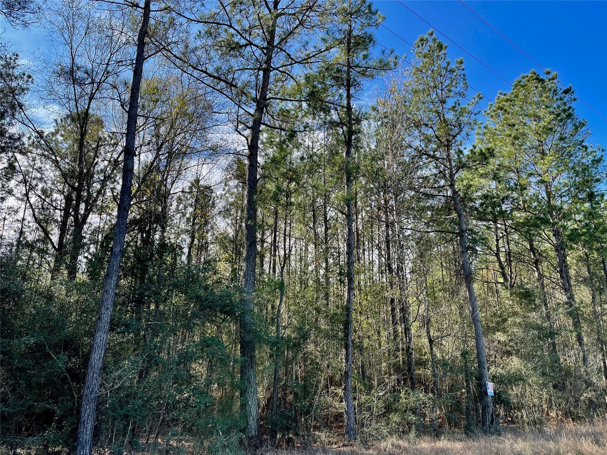 6 +/- Acs Cr 3400 Property Photo 6