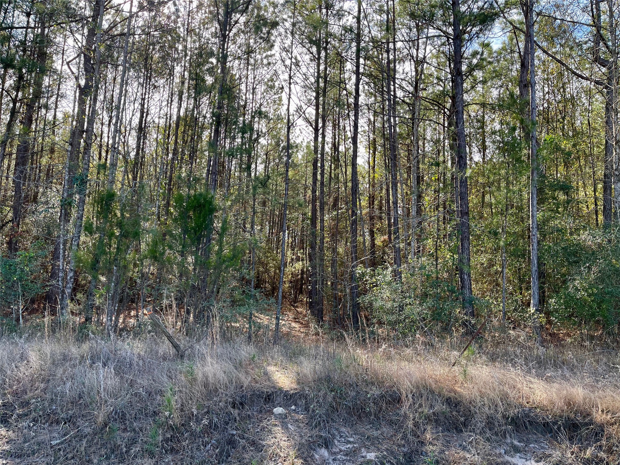 6 +/- Acs Cr 3400 Property Photo 10