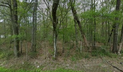 1555 Cherokee Street Property Photo 6