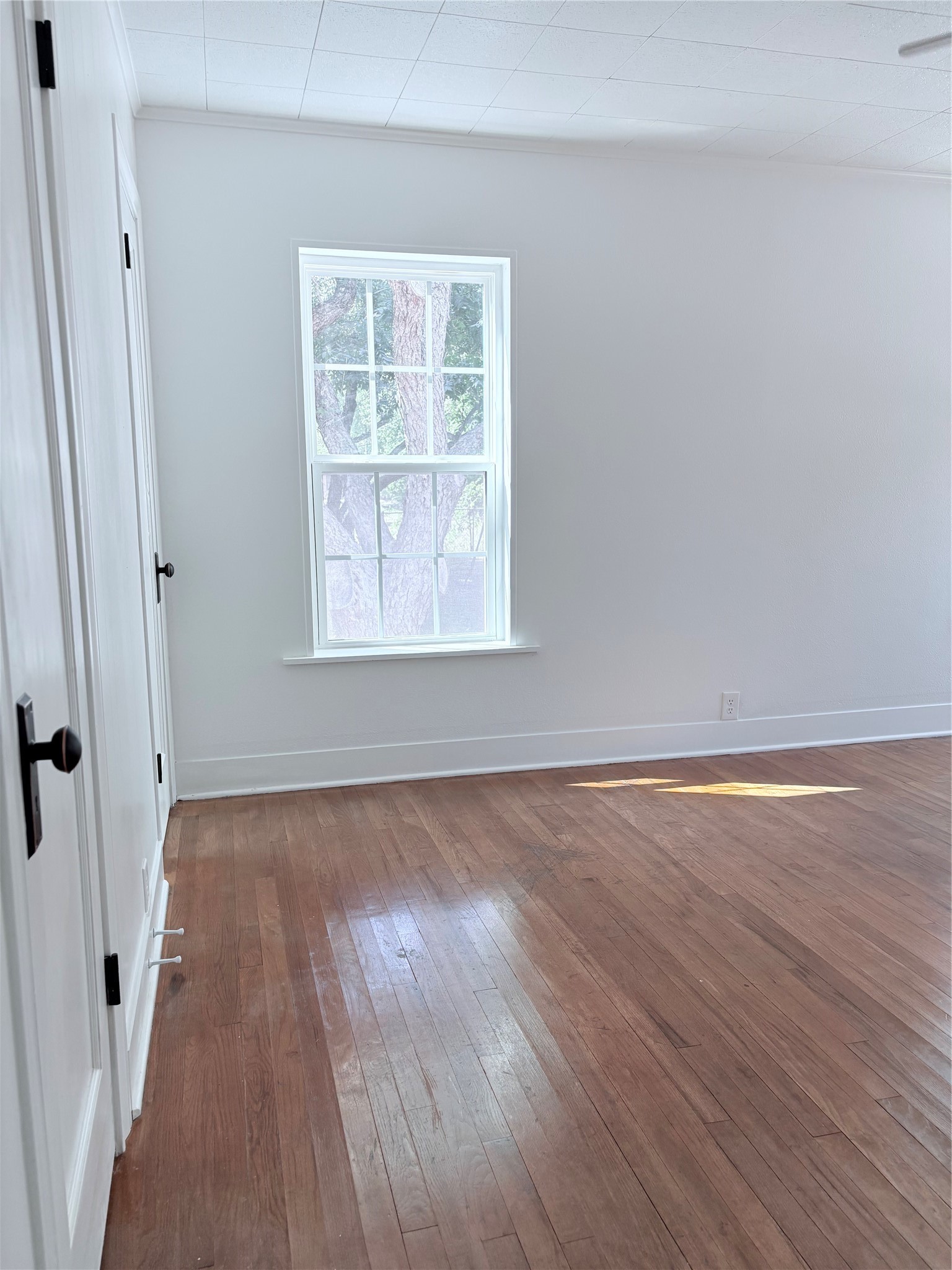 723 E Blackshear Street Property Photo 14