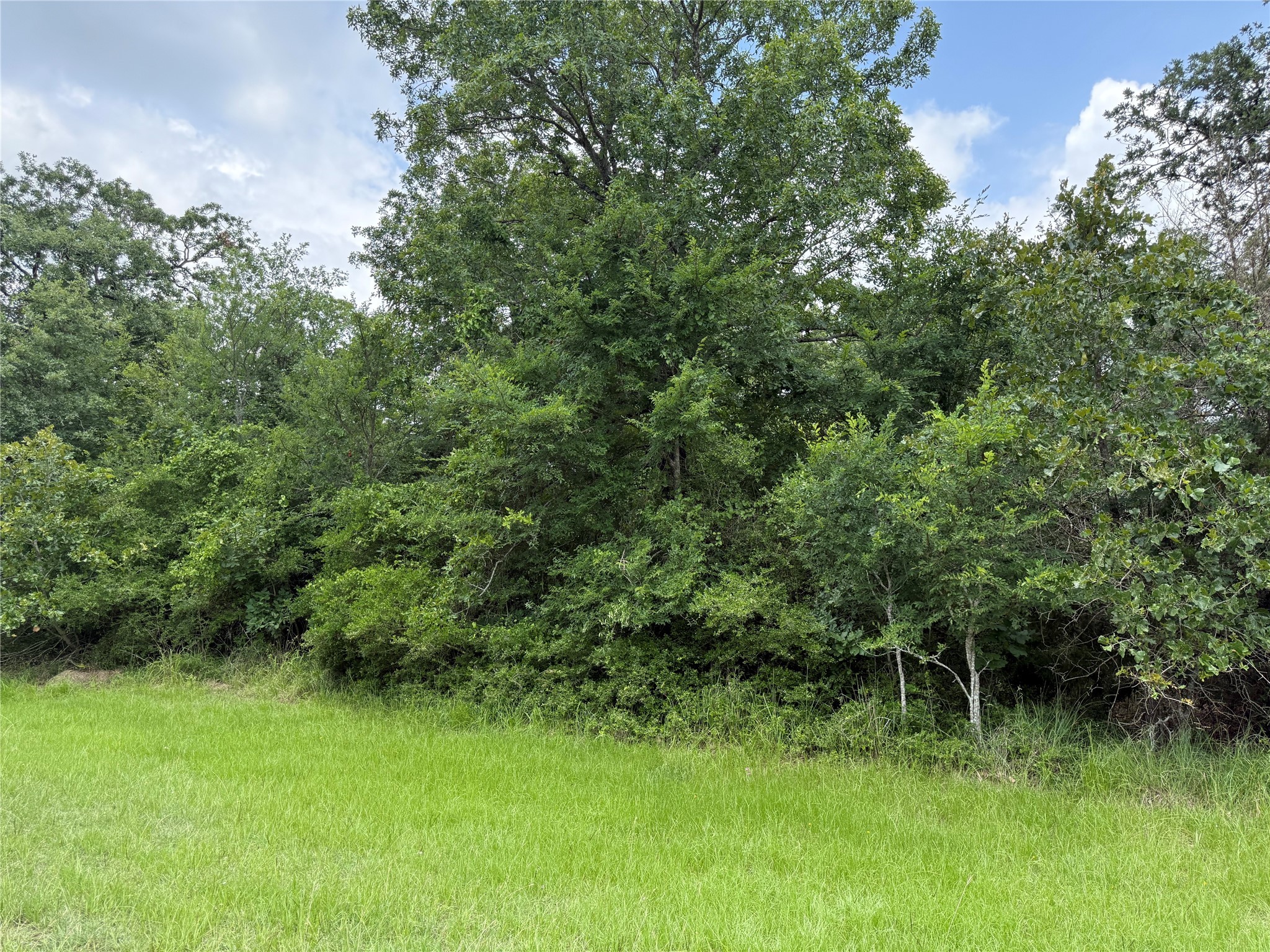 0 Lake Wood Drive Property Photo 1