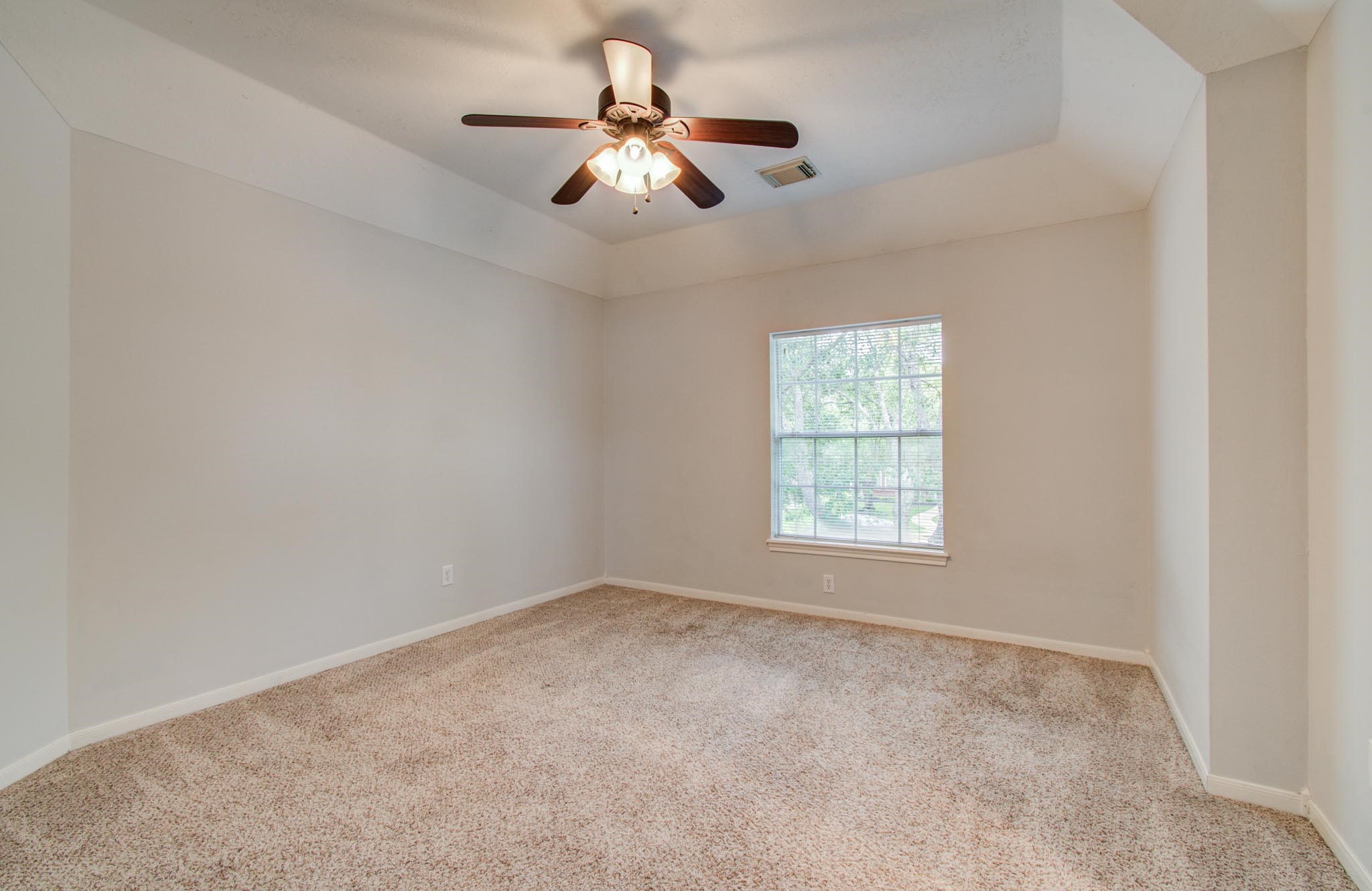 1311 Hopkins Park Drive Property Photo 36