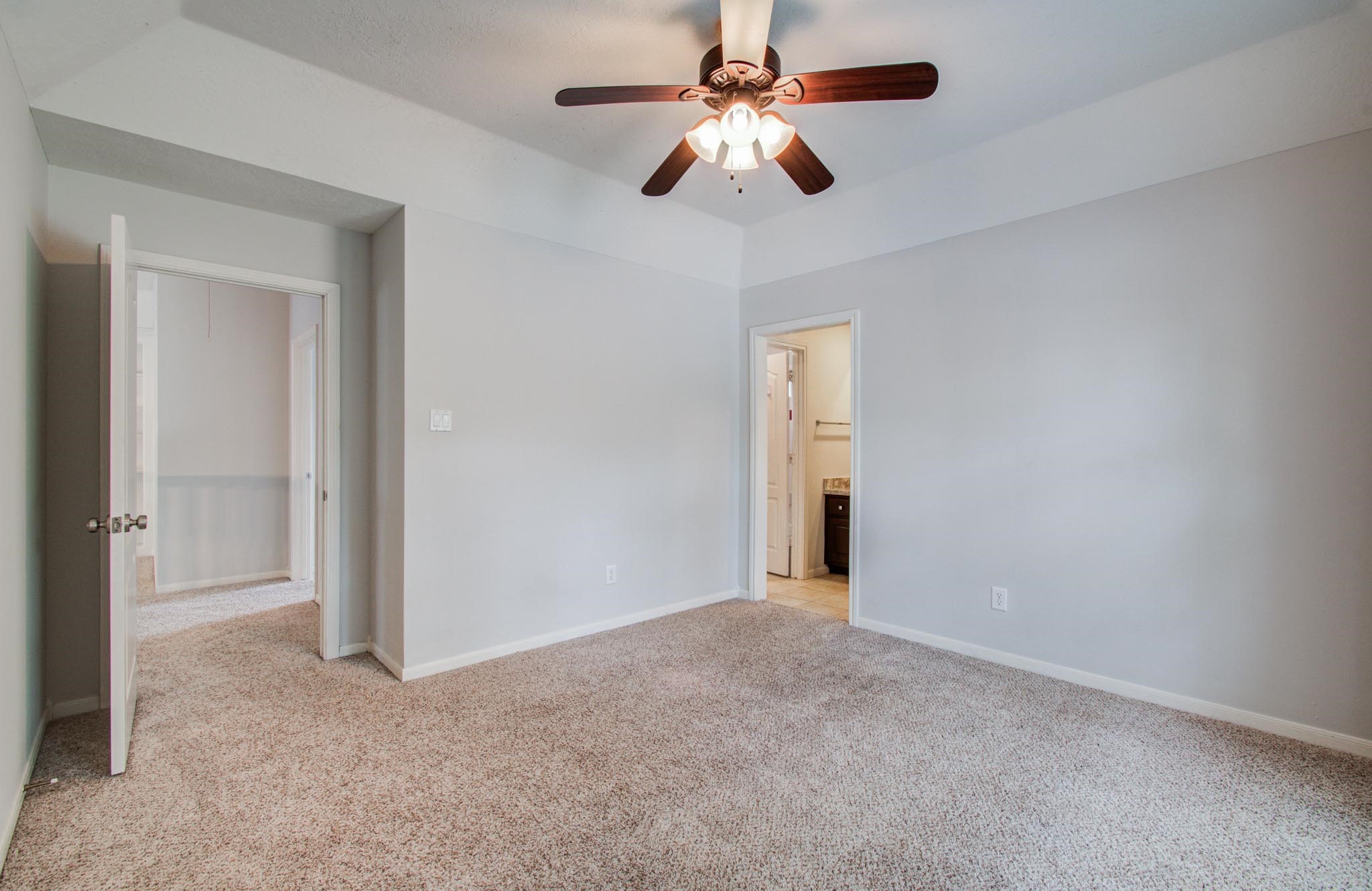 1311 Hopkins Park Drive Property Photo 44