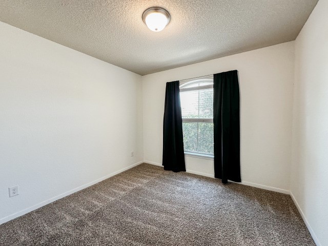29015 Jacobs River Dr Property Photo 5