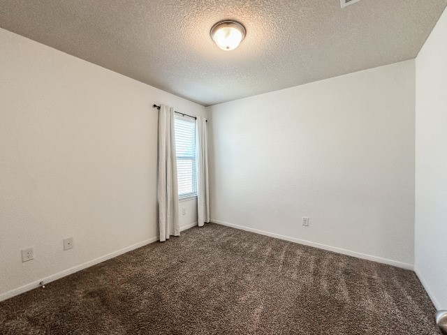 29015 Jacobs River Dr Property Photo 12
