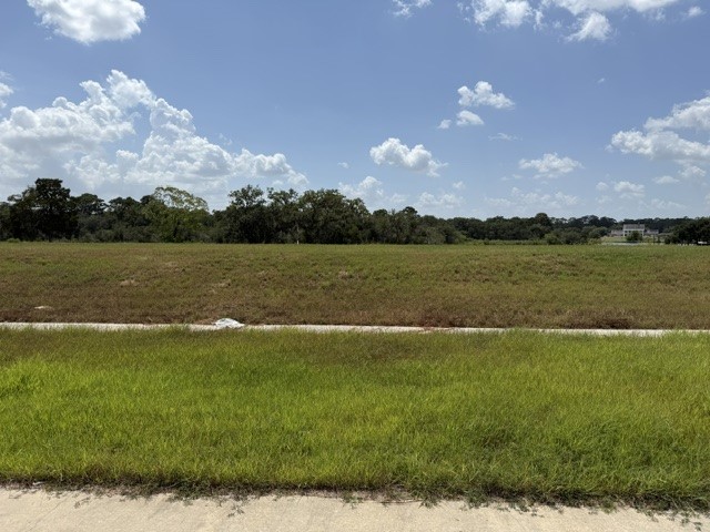 4420 Leslies Way Property Photo 3