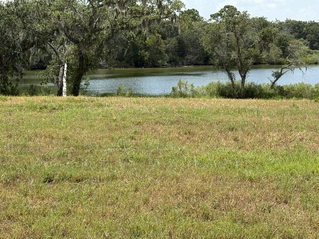 4420 Leslies Way Property Photo 5