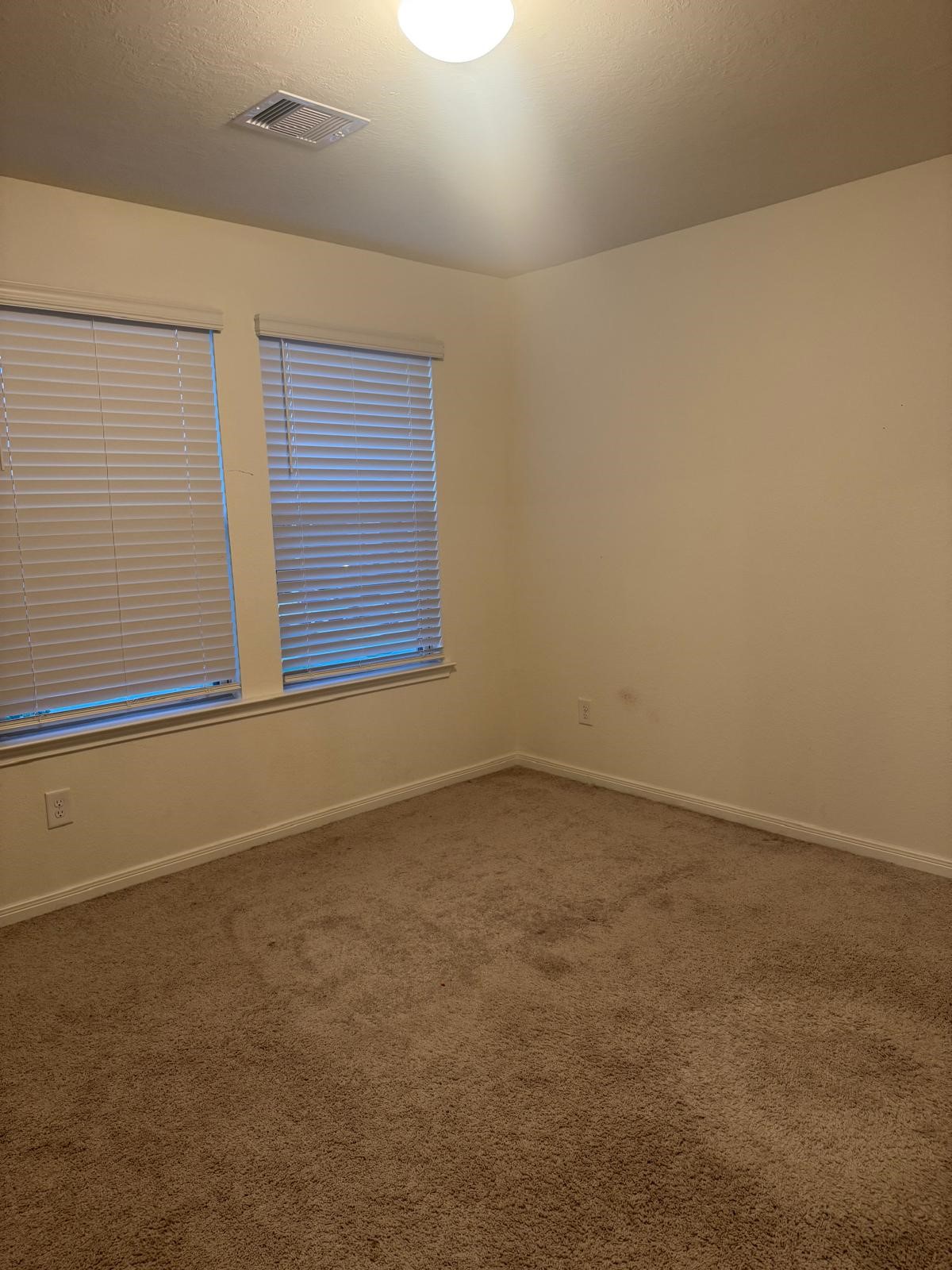 4841 Sun Falls Drive Property Photo 13