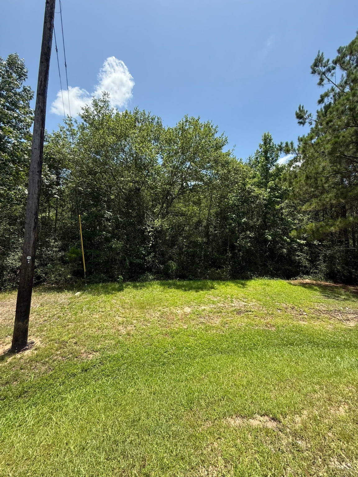 17655 Julianne Drive Property Photo 2