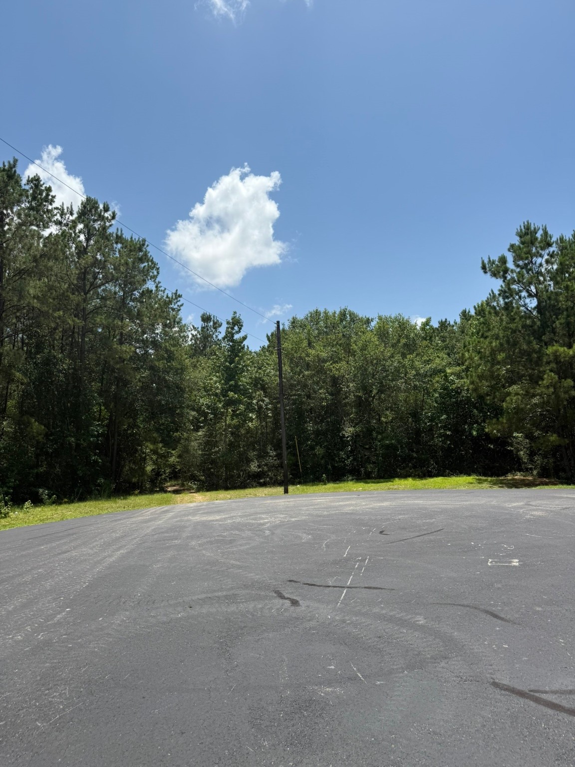 17655 Julianne Drive Property Photo 4