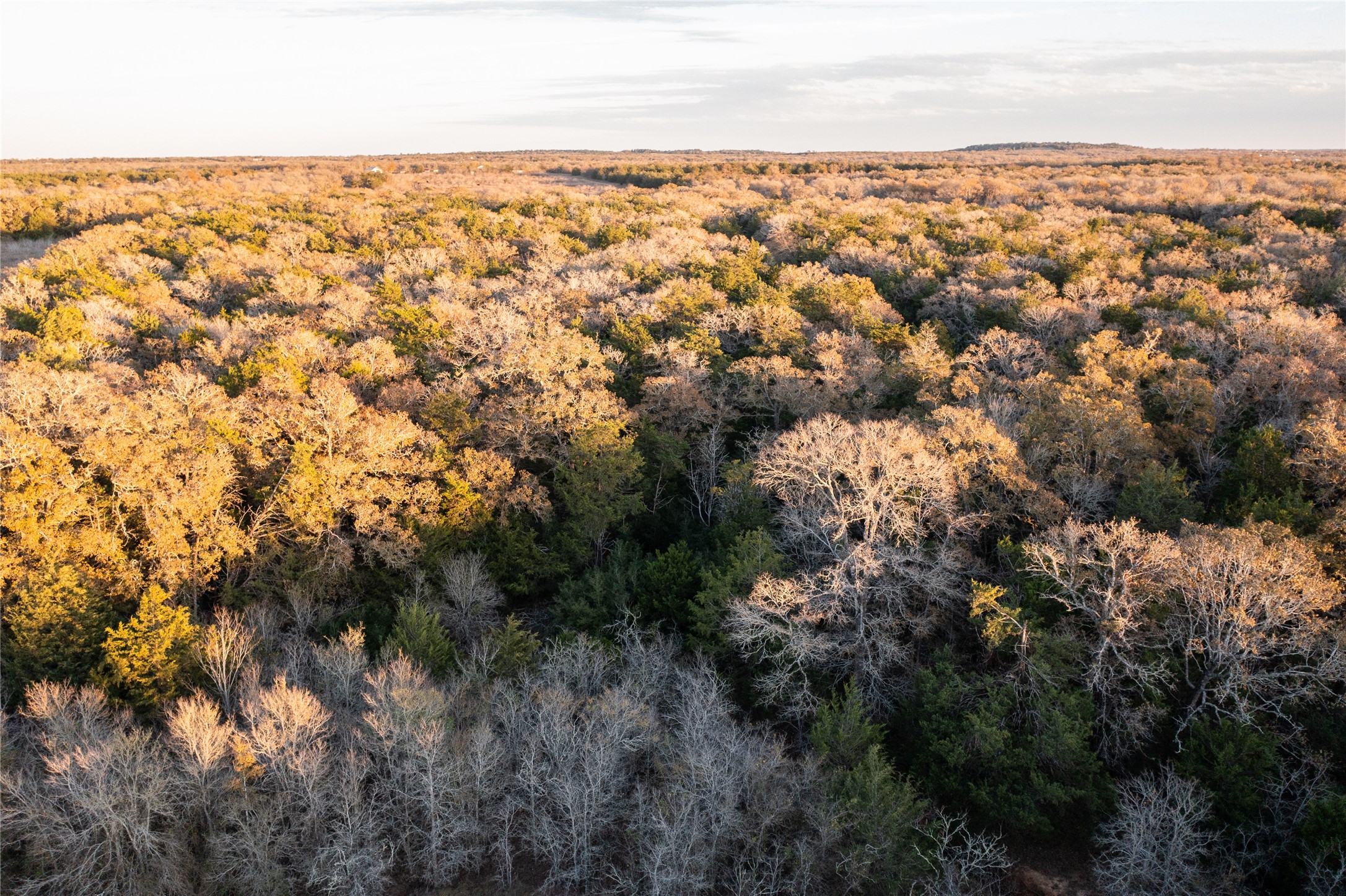 0000 TBD 21+/- Ac Grassyville Road
