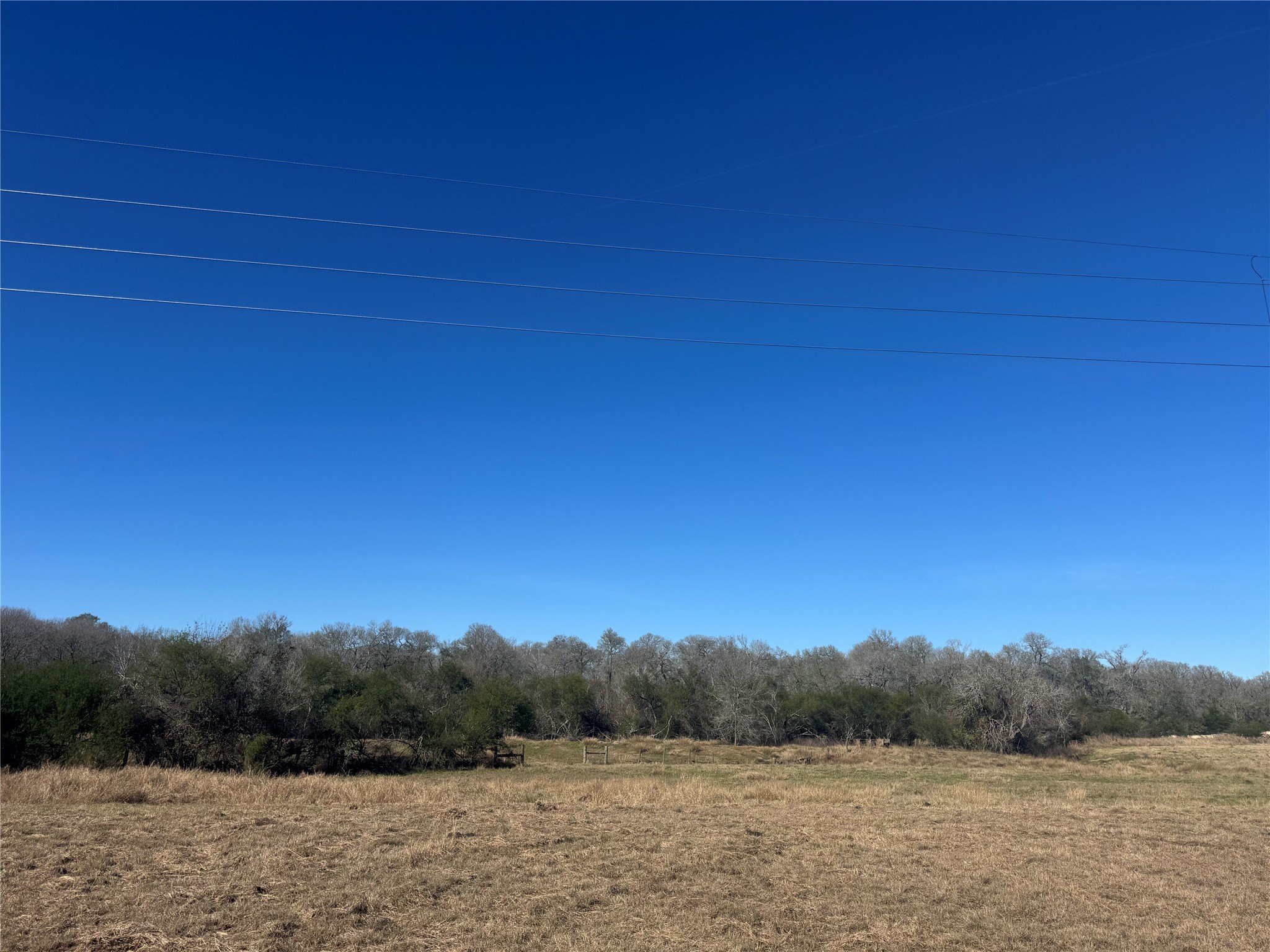 810 Royal Lakes Manor Boulevard Property Photo 6