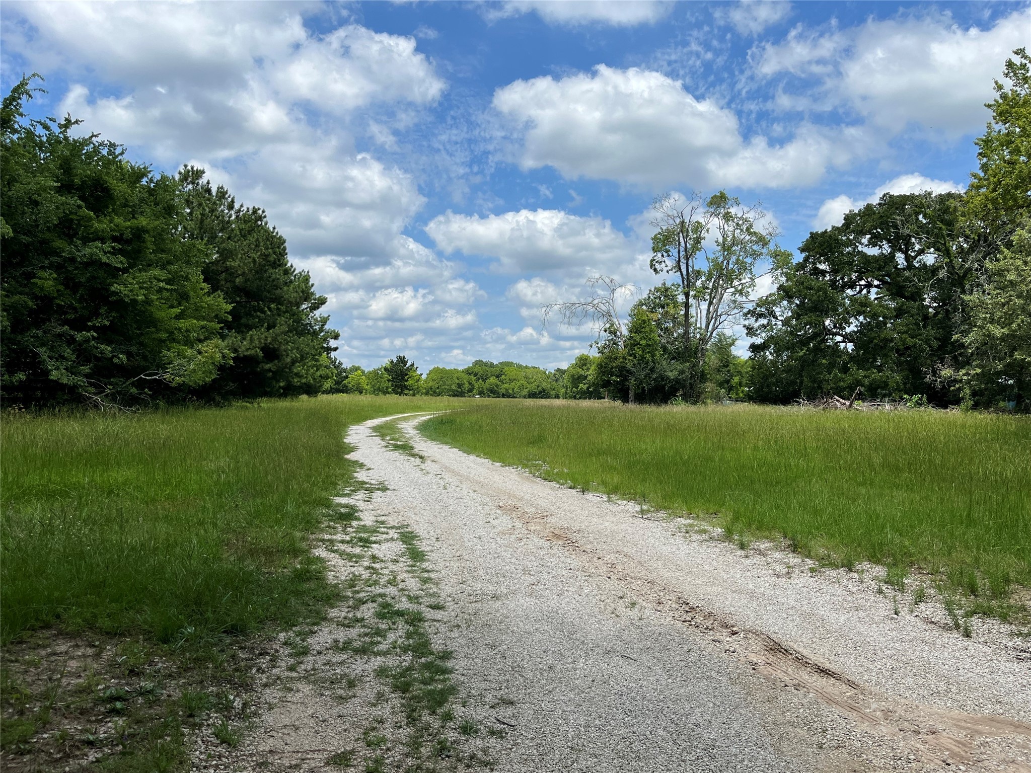 880 Tafelski Road Property Photo 7