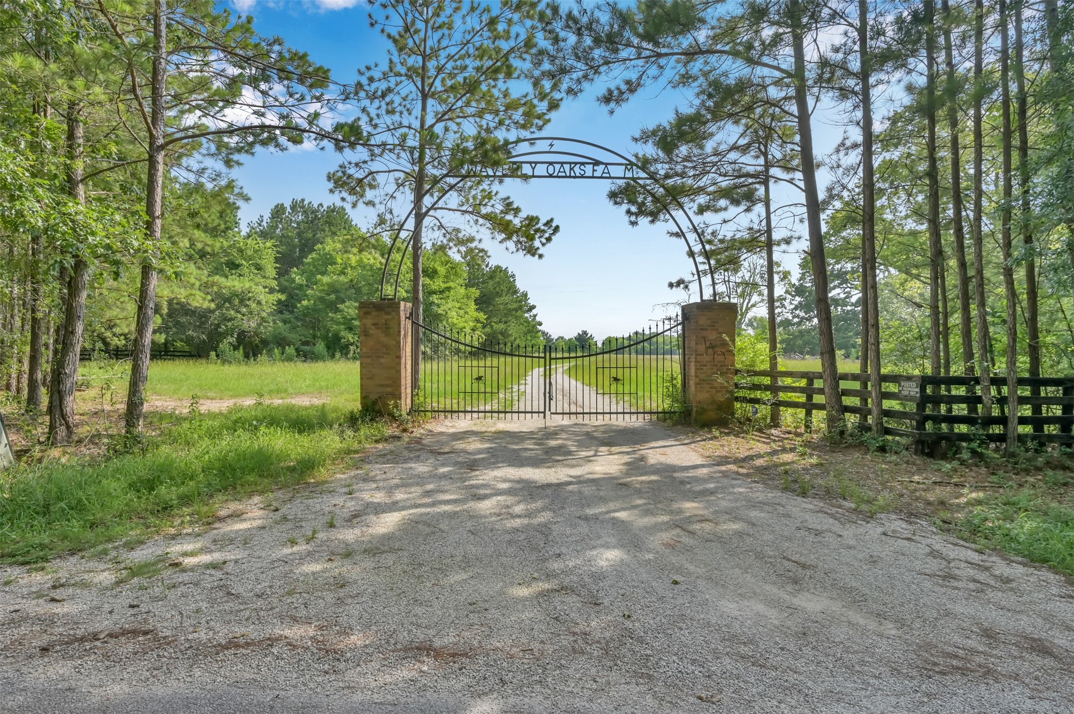 880 Tafelski Road Property Photo 11