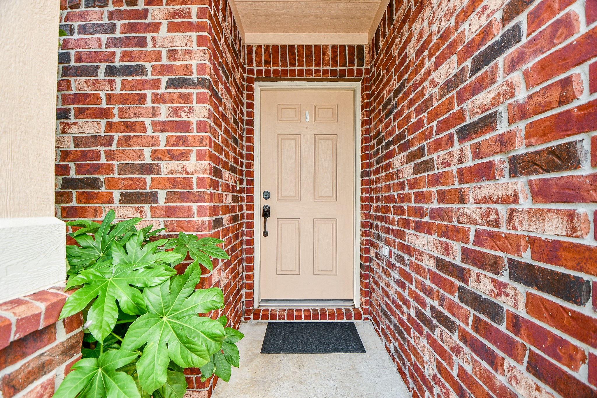 2739 Mustang Hill Lane Property Photo 3