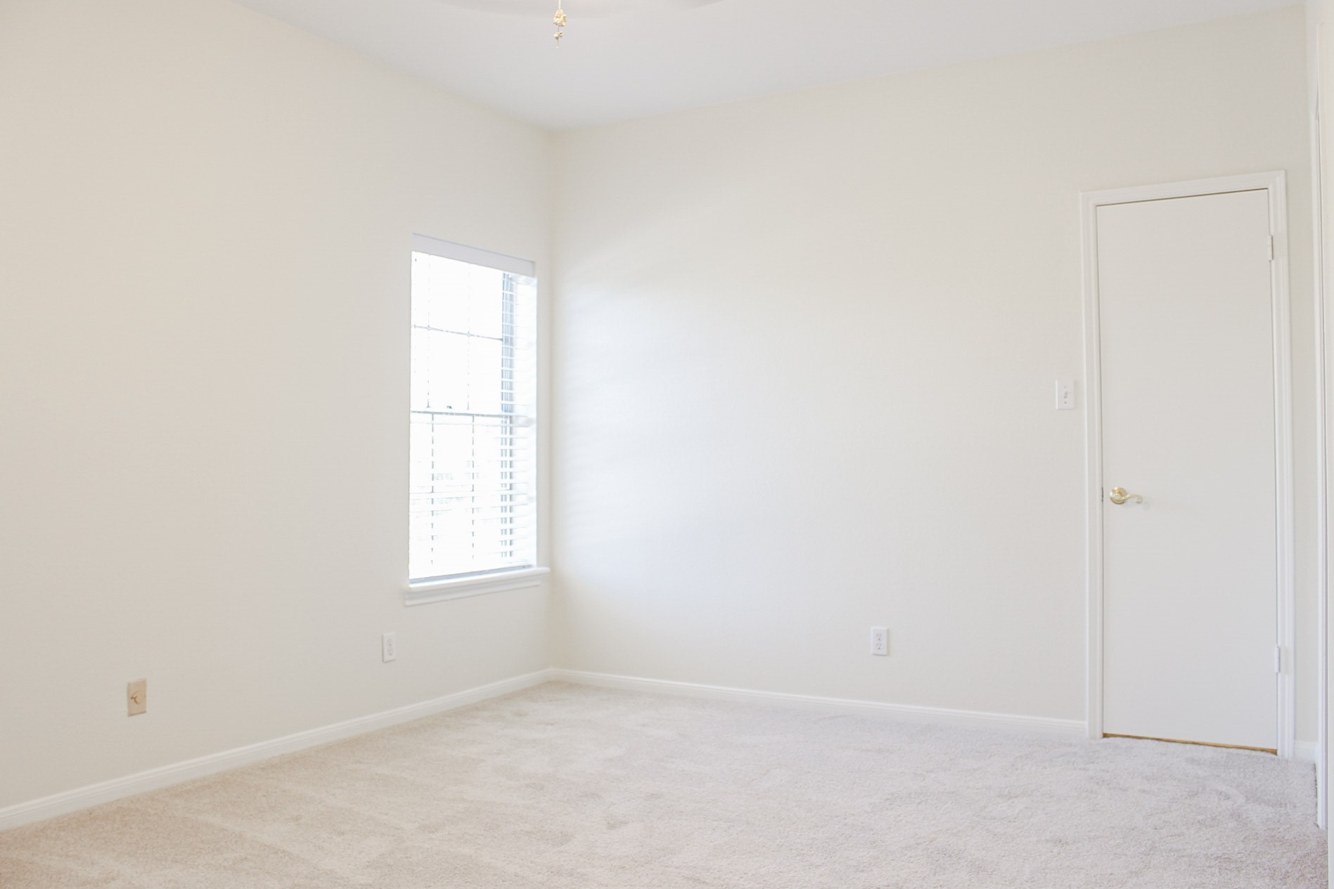 7387 Regency Square Court Property Photo 35