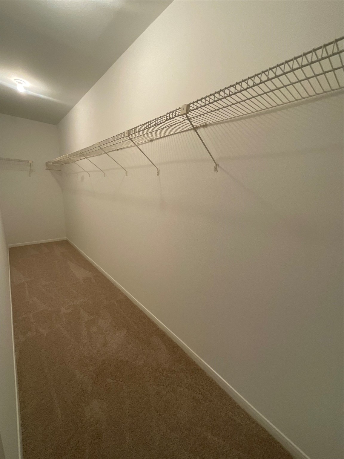 7387 Regency Square Court Property Photo 43