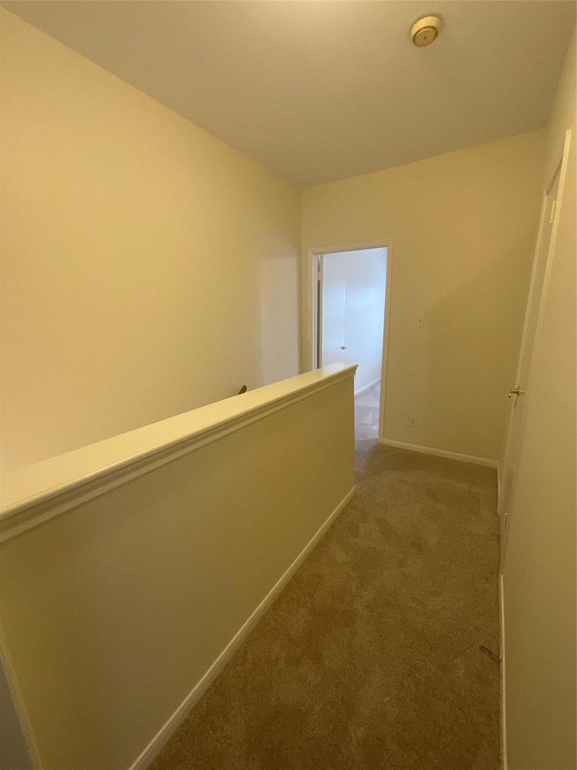 7387 Regency Square Court Property Photo 47