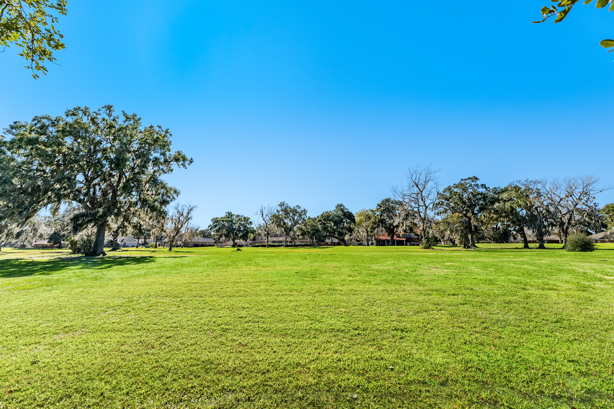 1814 Veranda Drive Property Photo 12